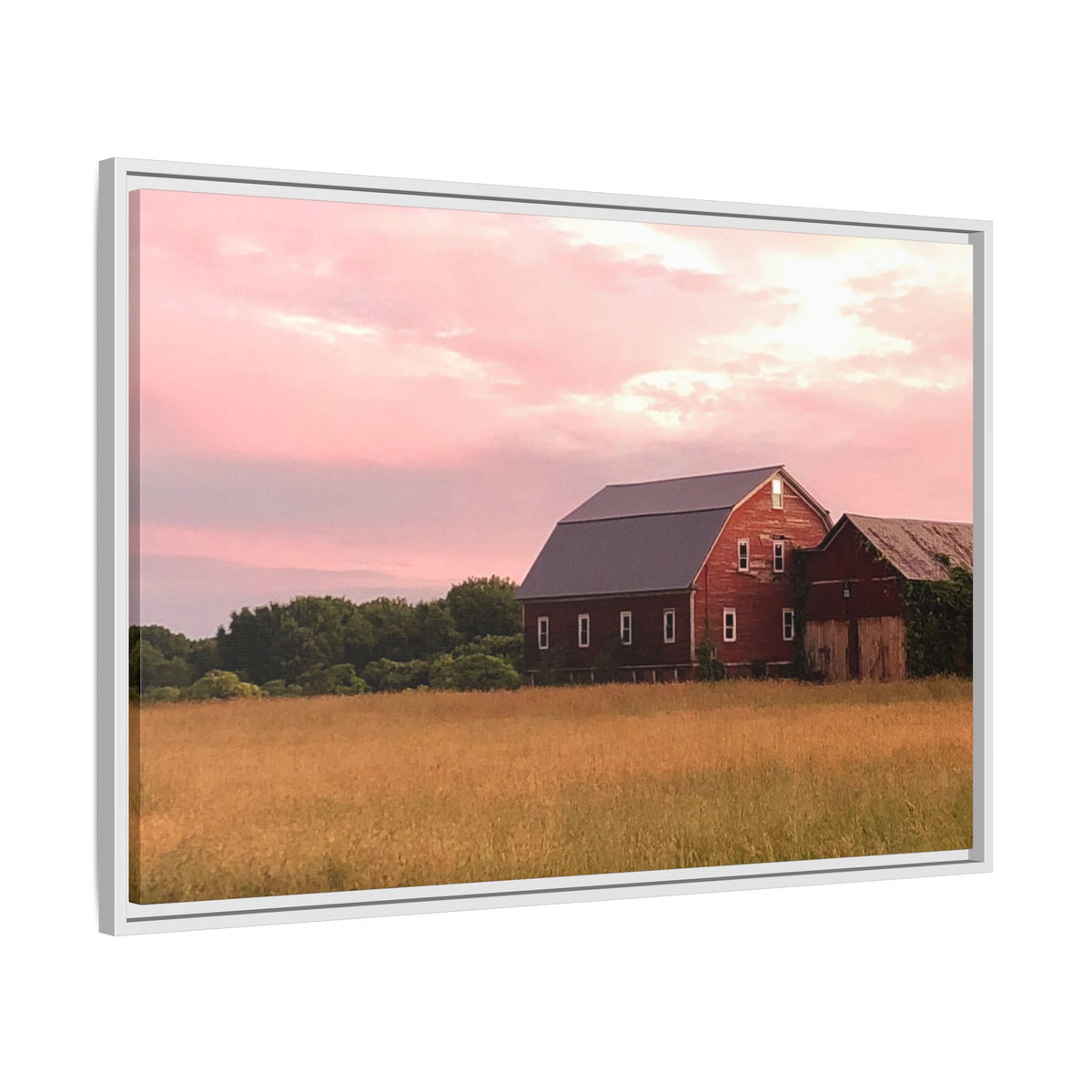 Weathered Barn at Dusk Canvas Framed Print
