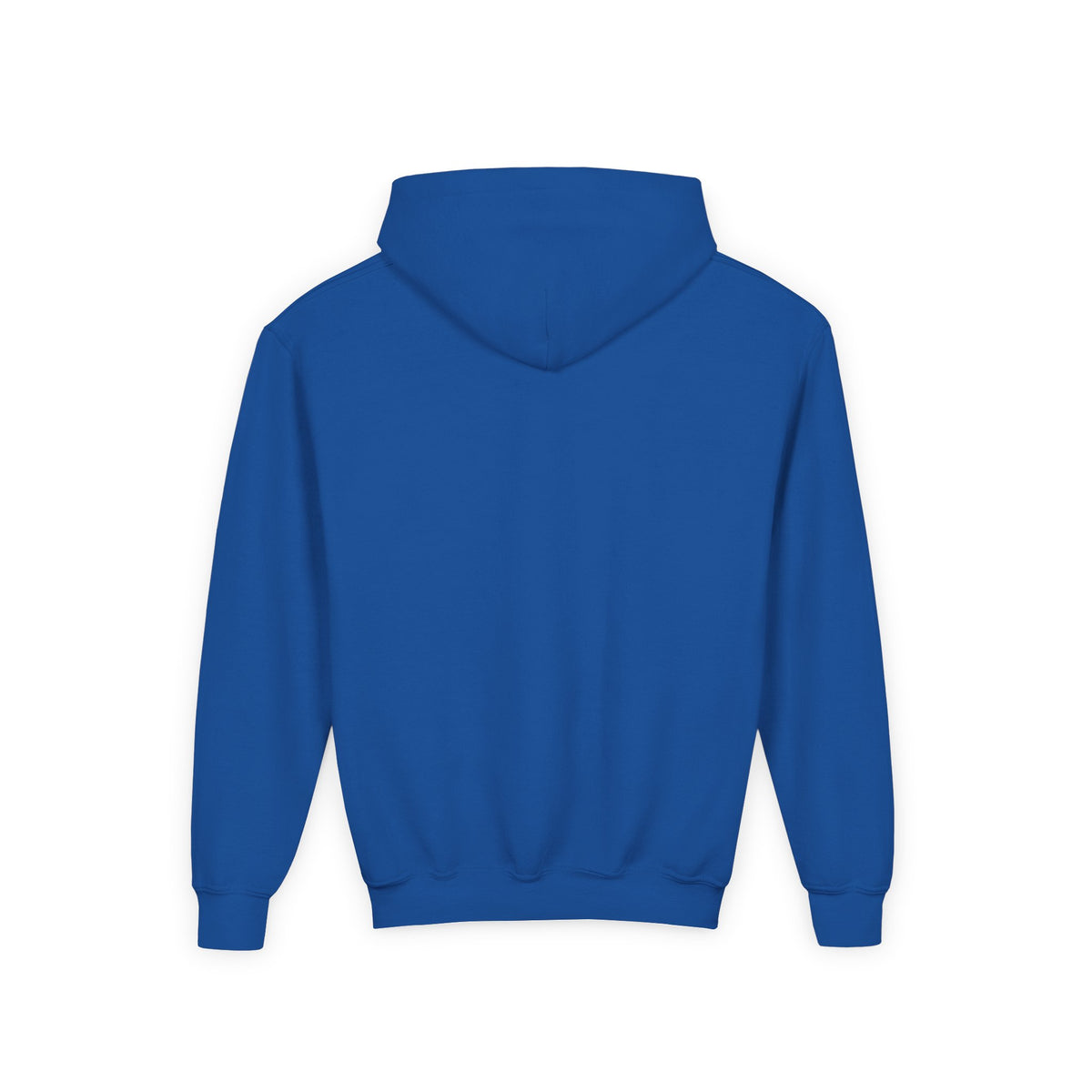 Sweater Weather Swissy Hoodie (Youth)