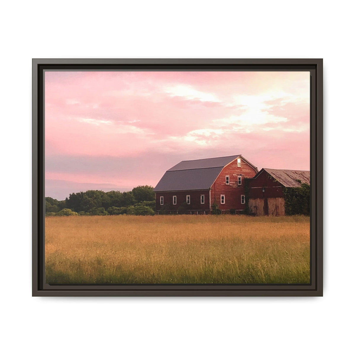 Weathered Barn at Dusk Canvas Framed Print