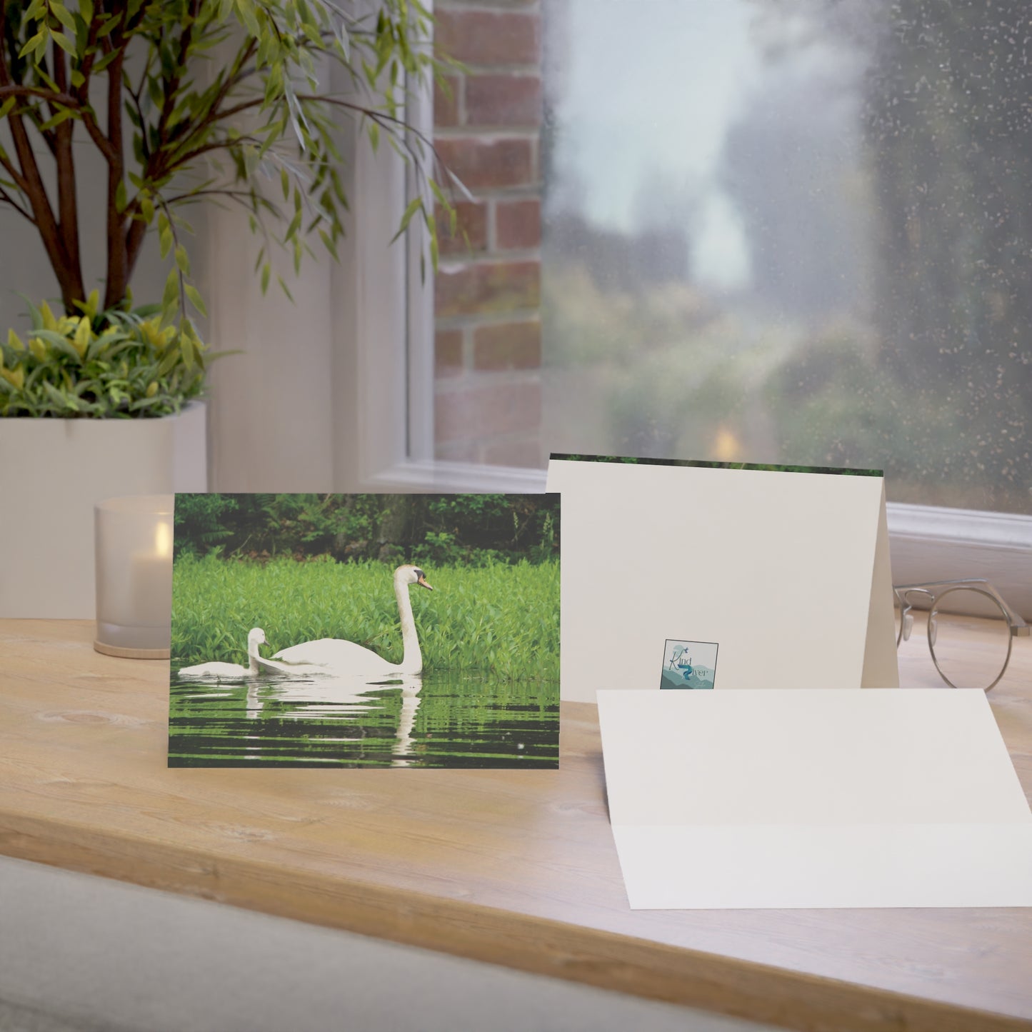 Note Cards | Set of 10 - Swans (original photograph by Kind River Studio)
