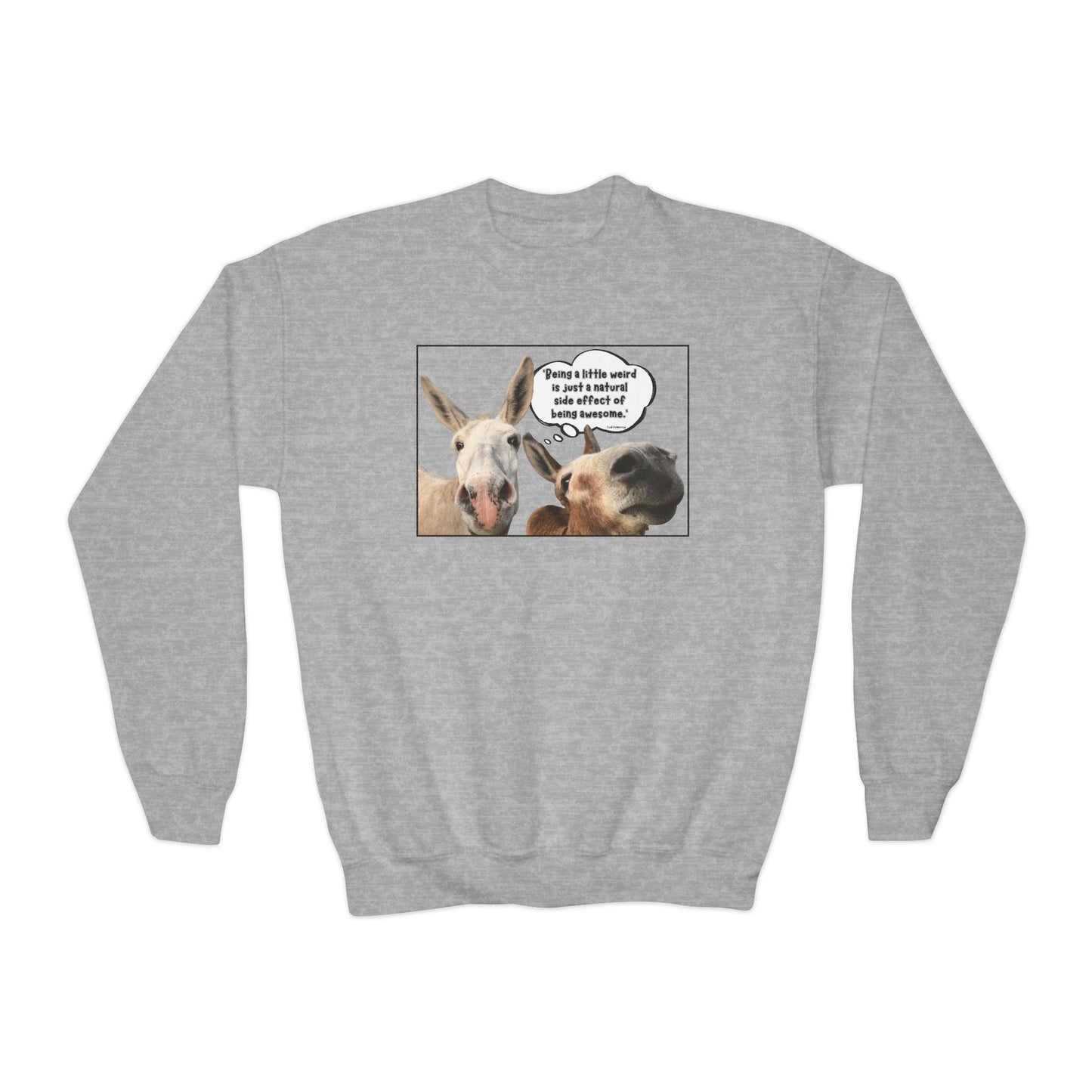 Sweatshirt - Crewneck (Youth) - Weird is Awesome