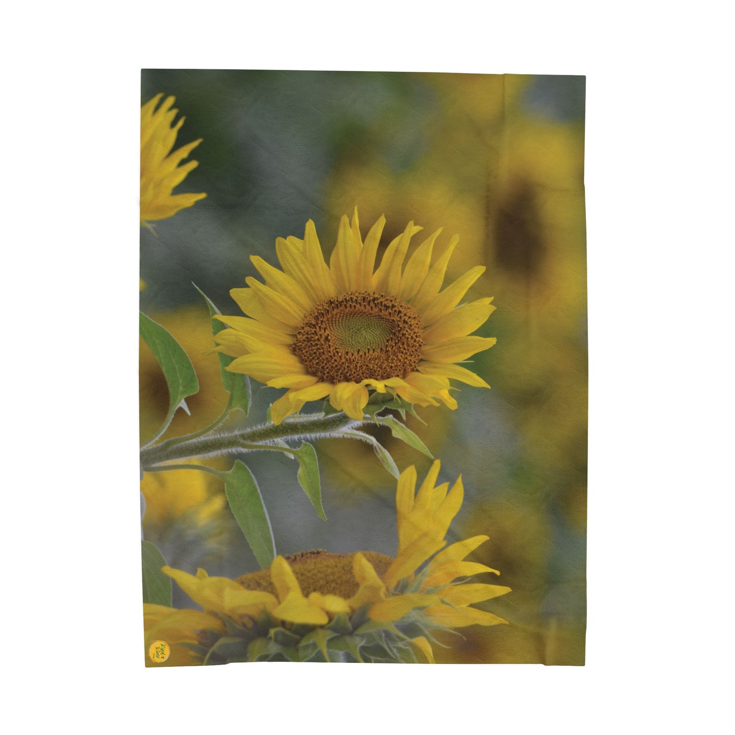 Blanket (Velveteen Plush) - Sunflower