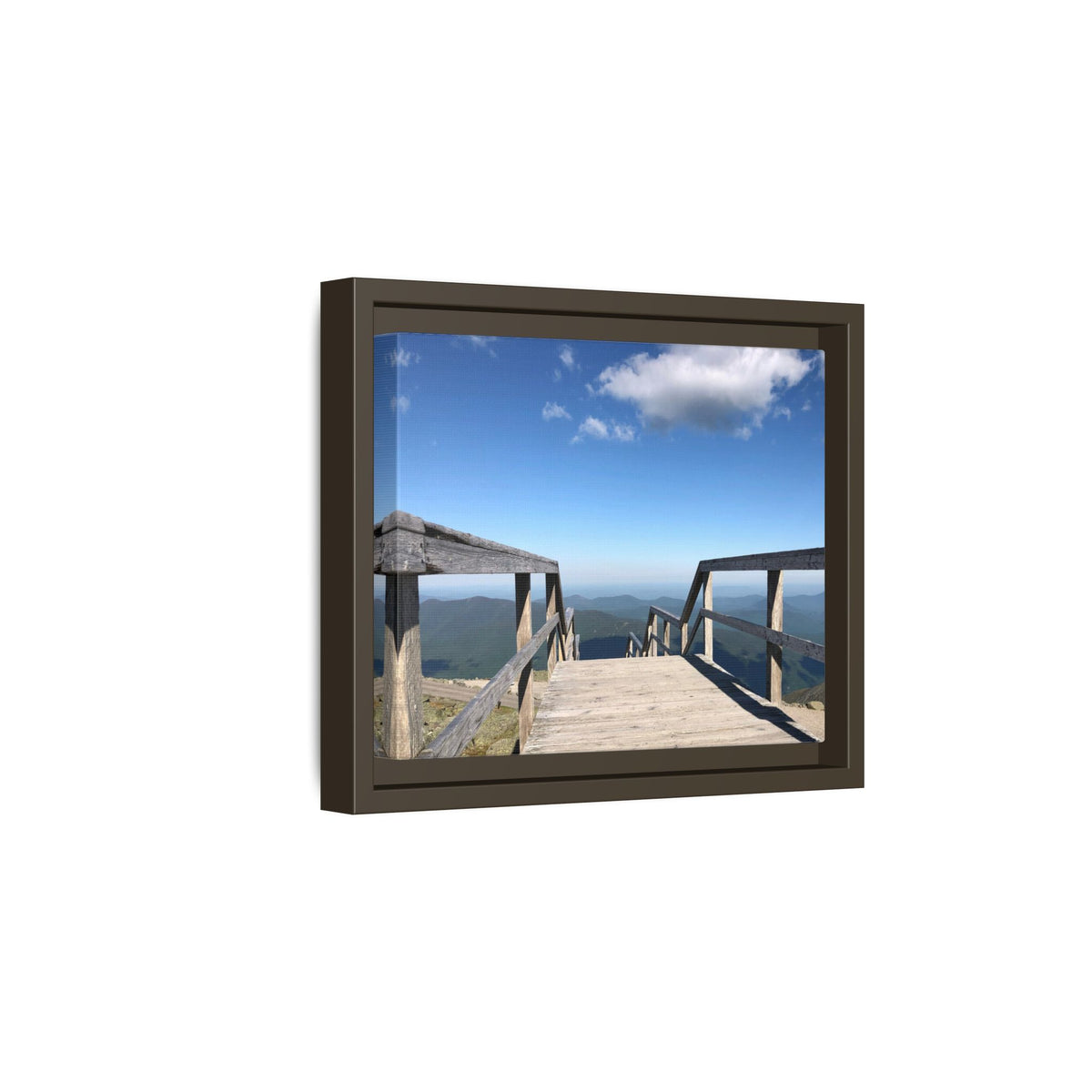 Quiet Descent Framed Matte Canvas Print