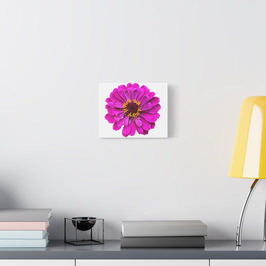 Canvas Print - One Purple Zinnia (original photograph by Kind River Studio)