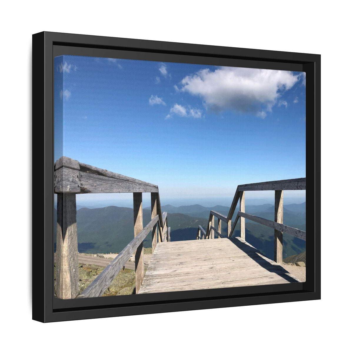 Quiet Descent Framed Matte Canvas Print