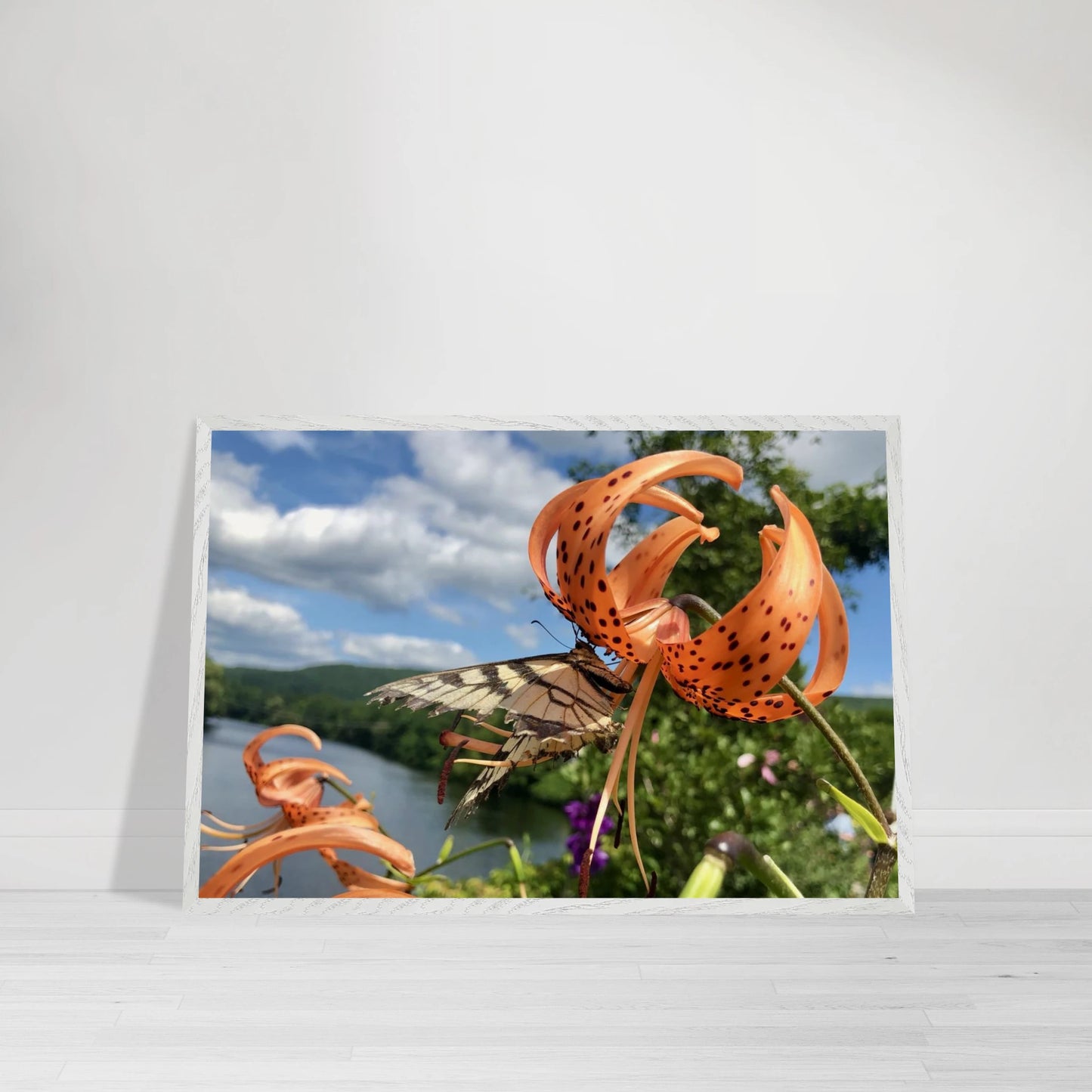 14dc2e7d-40e9-4187-9cae-e37b473e9c8a