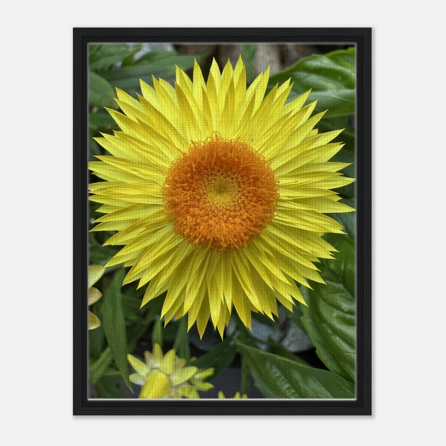 1505beb9-2c3b-4d39-81f5-11c62f751d3d