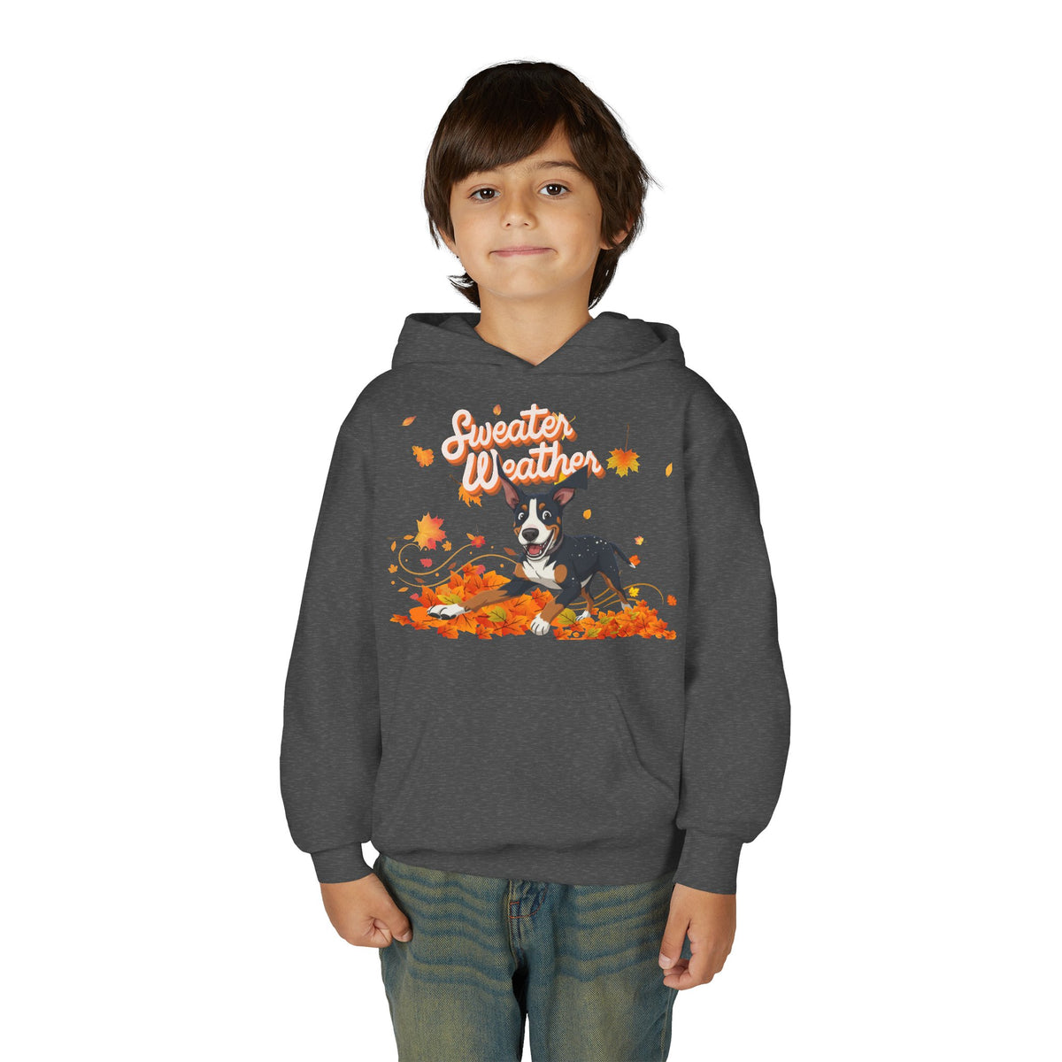 Sweater Weather Swissy Hoodie (Youth)