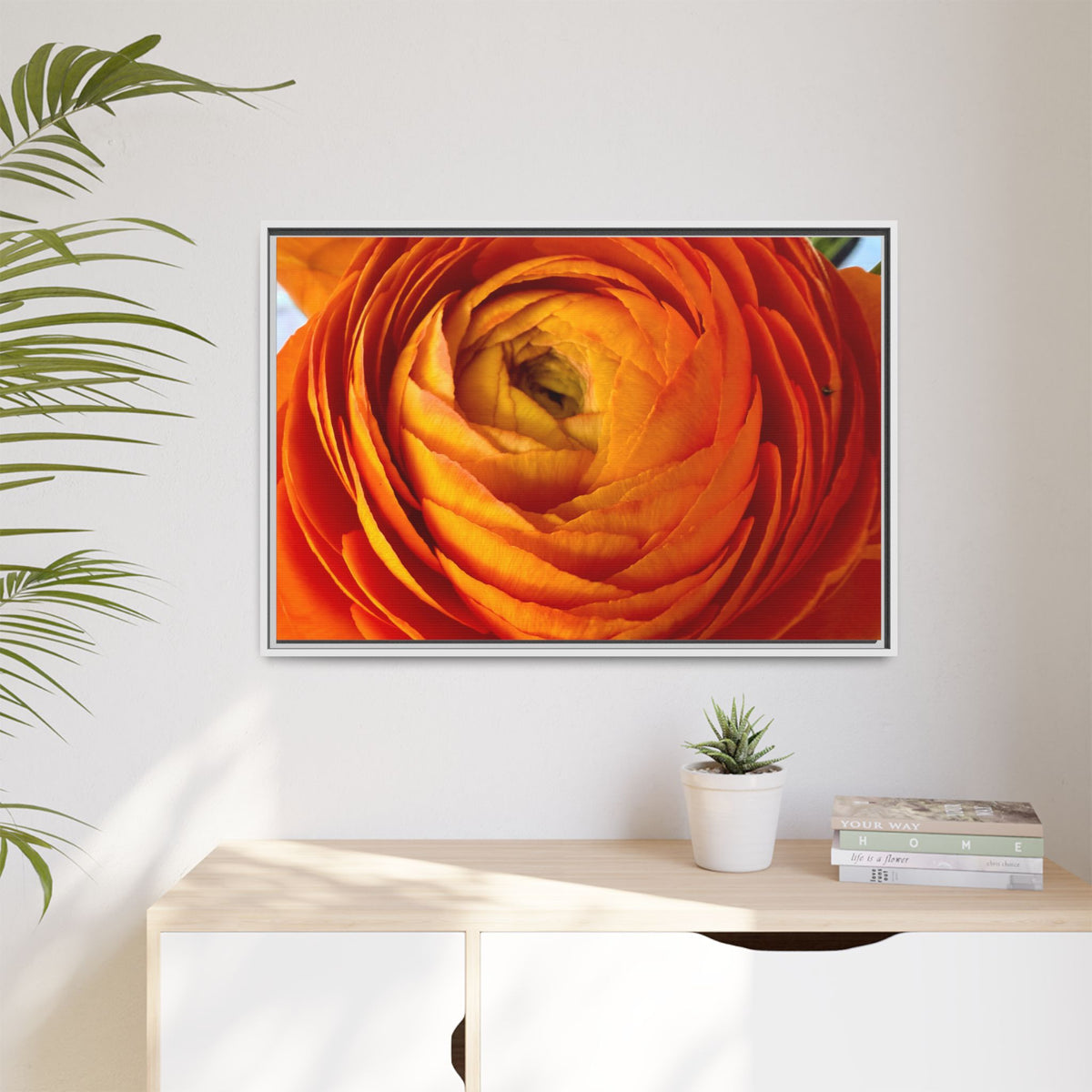 Orange Ranunculus Canvas Framed Print (original photograph by Kind River Studio)