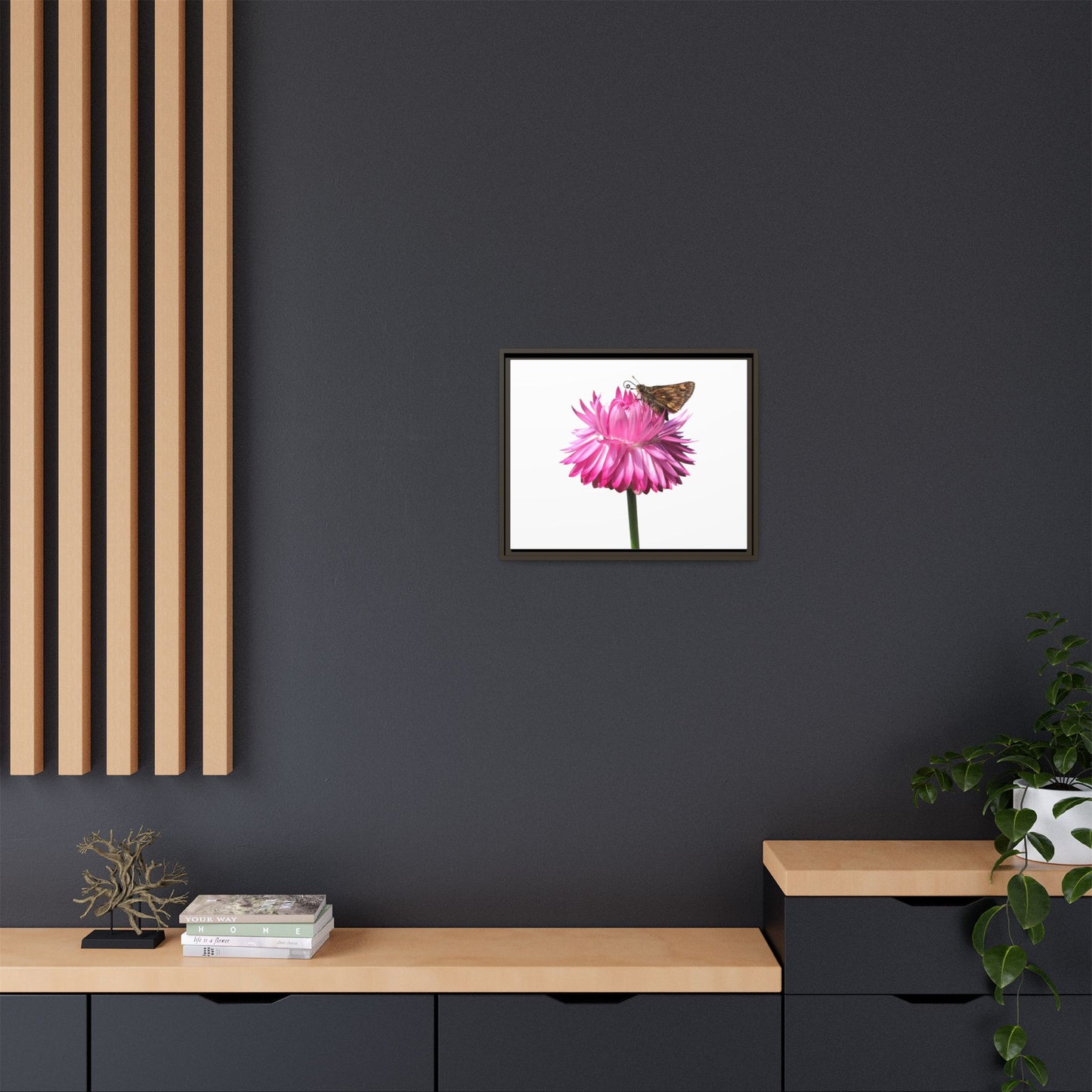 Canvas Print in Frame - Skipper on Strawflower (original photograph by Kind River Studio)