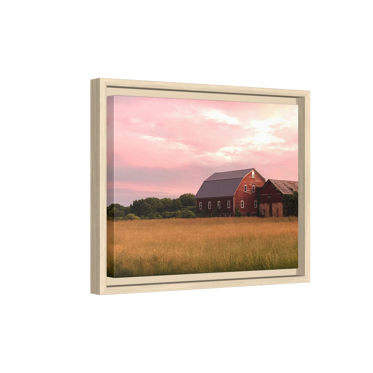 Weathered Barn at Dusk Canvas Framed Print