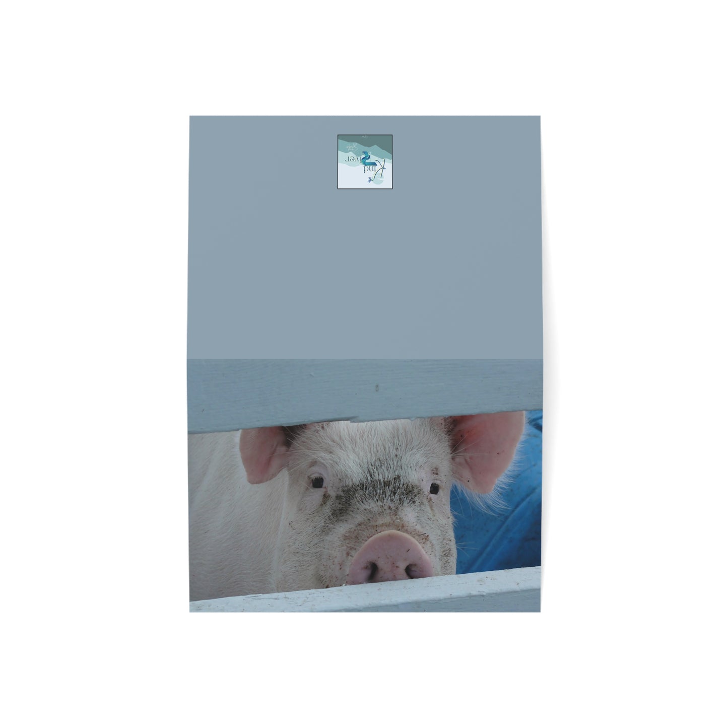 Note Cards | Set of 10 - Peekaboo Pig (original photograph by Kind River Studio)