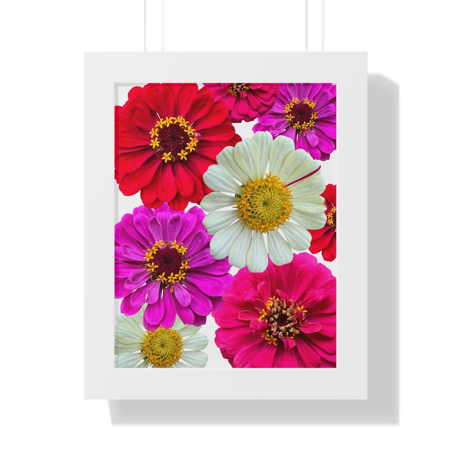 Poster Print in Frame - Zinnias (W/W)