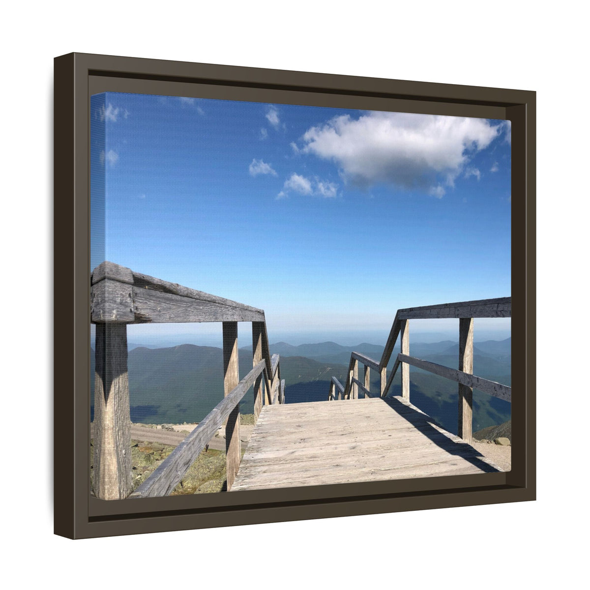Quiet Descent Framed Matte Canvas Print