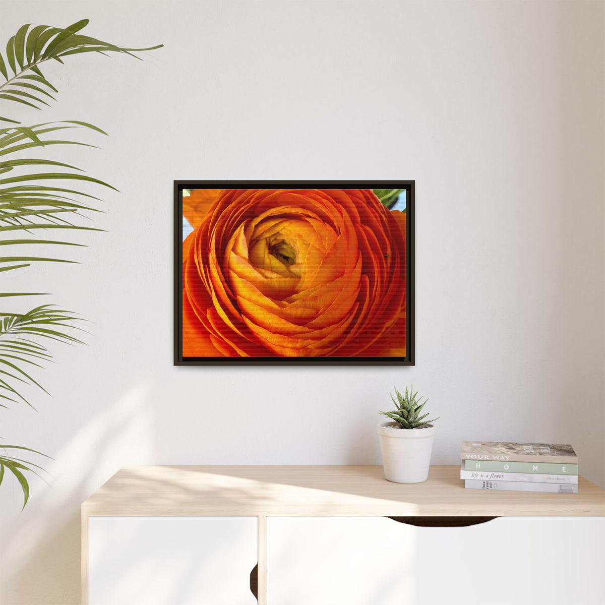 Orange Ranunculus Canvas Framed Print (original photograph by Kind River Studio)