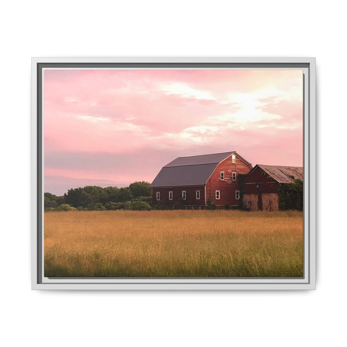 Weathered Barn at Dusk Canvas Framed Print