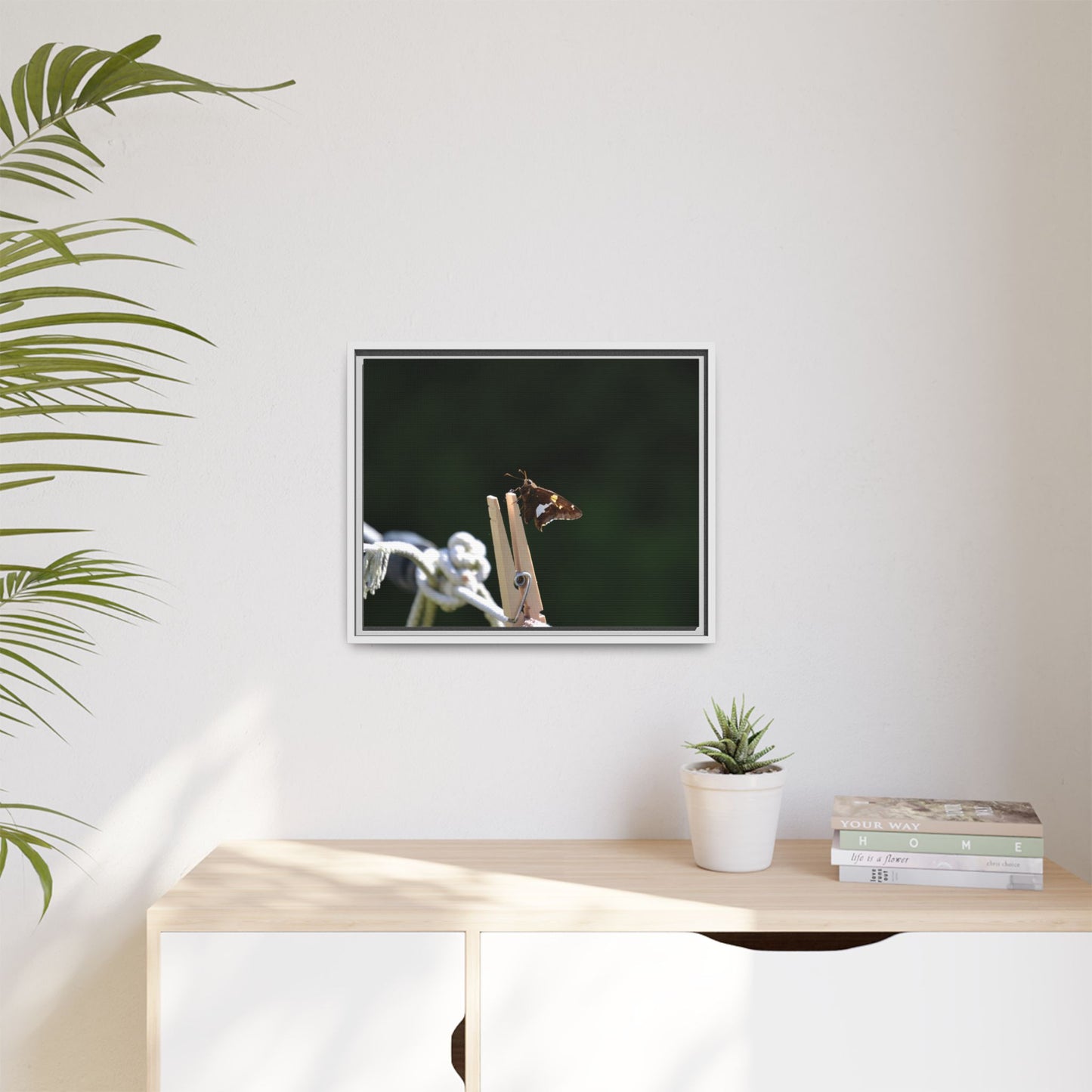 Canvas Print in Frame - Skipper on the Line (original photograph by Kind River Studio)