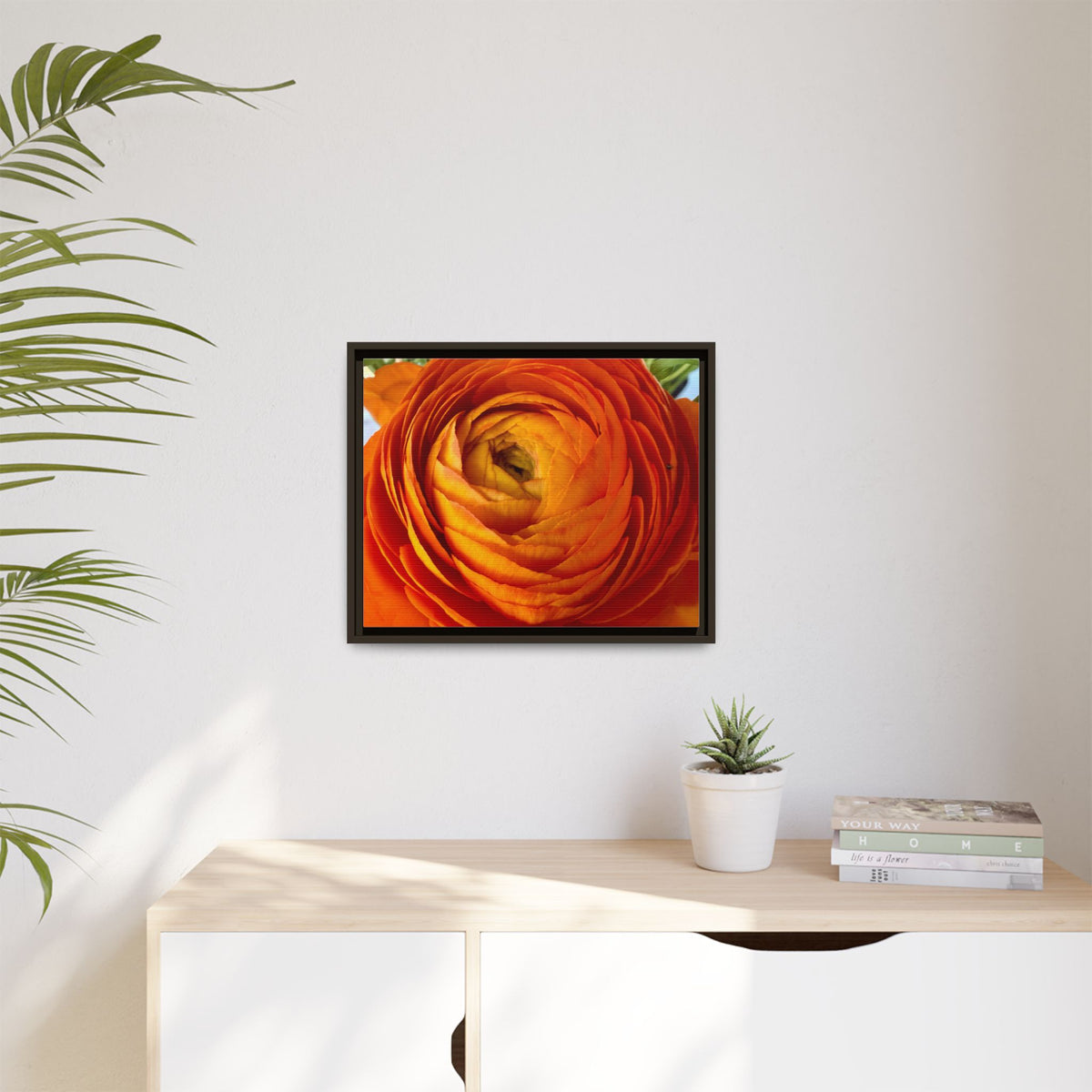 Orange Ranunculus Canvas Framed Print (original photograph by Kind River Studio)