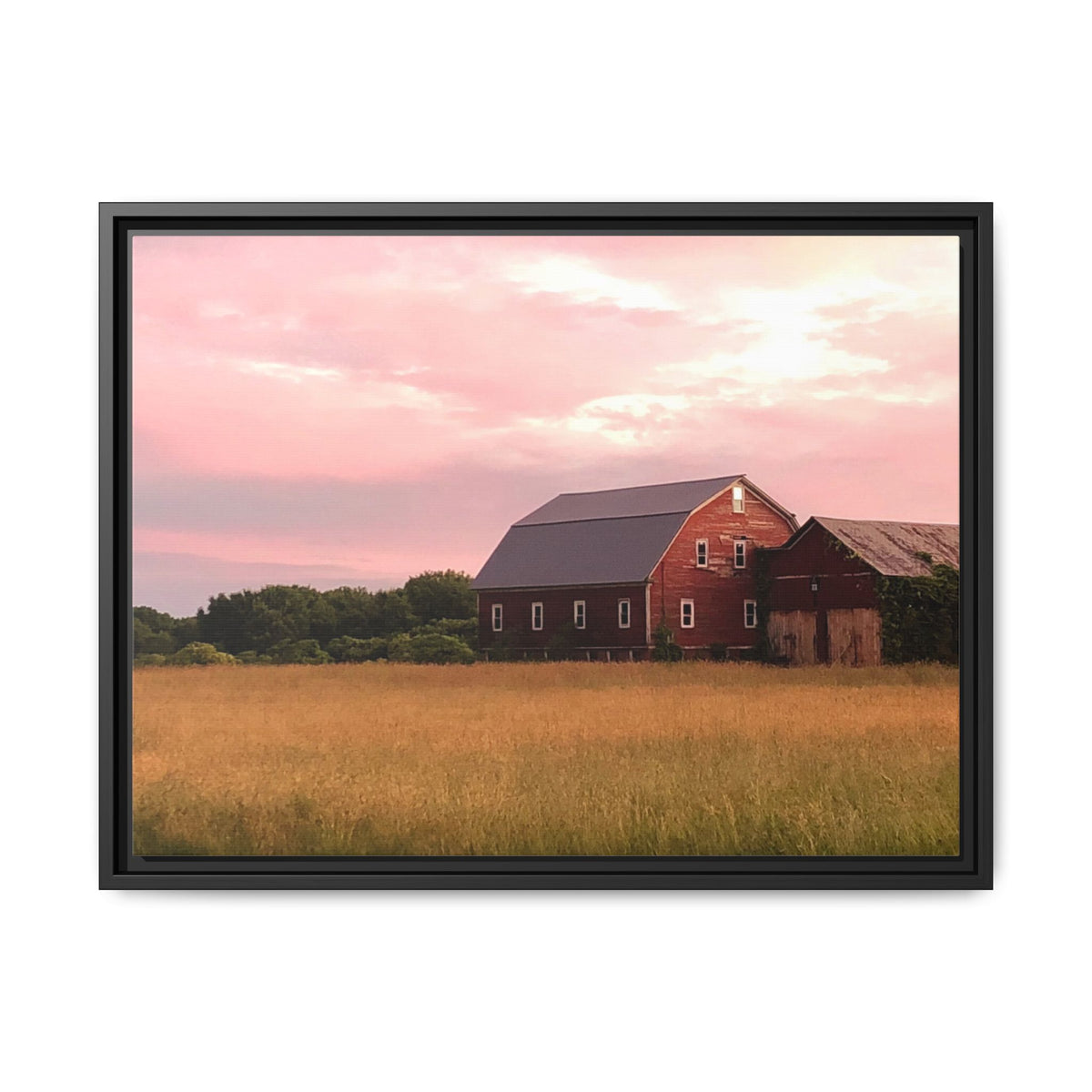 Weathered Barn at Dusk Canvas Framed Print