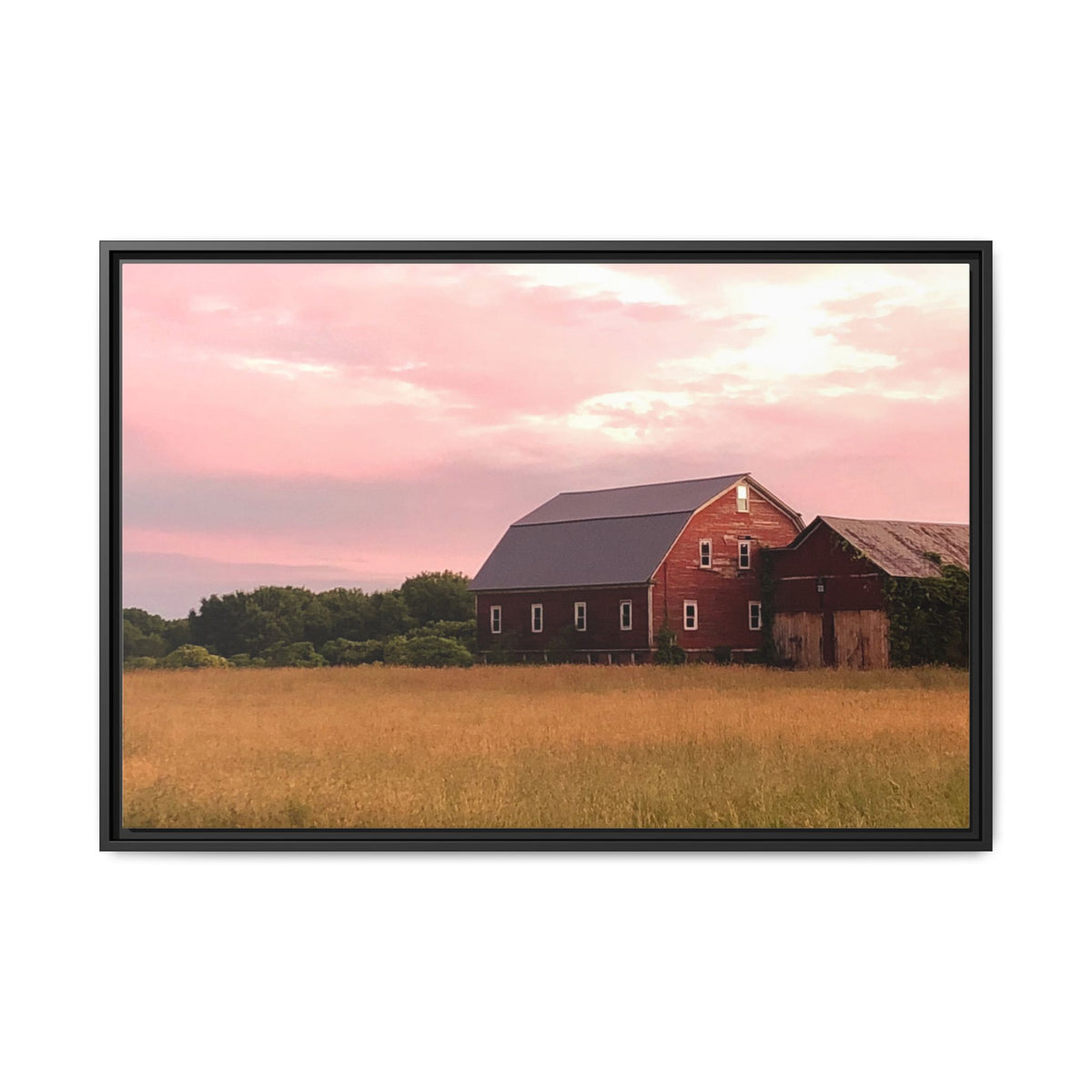 Weathered Barn at Dusk Canvas Framed Print