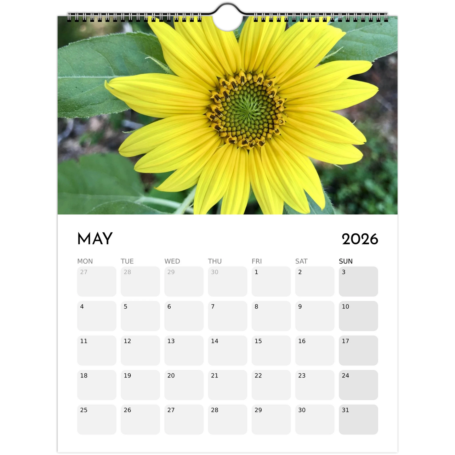 18063fb7-9dfb-49a4-8601-ef3b2719e22a