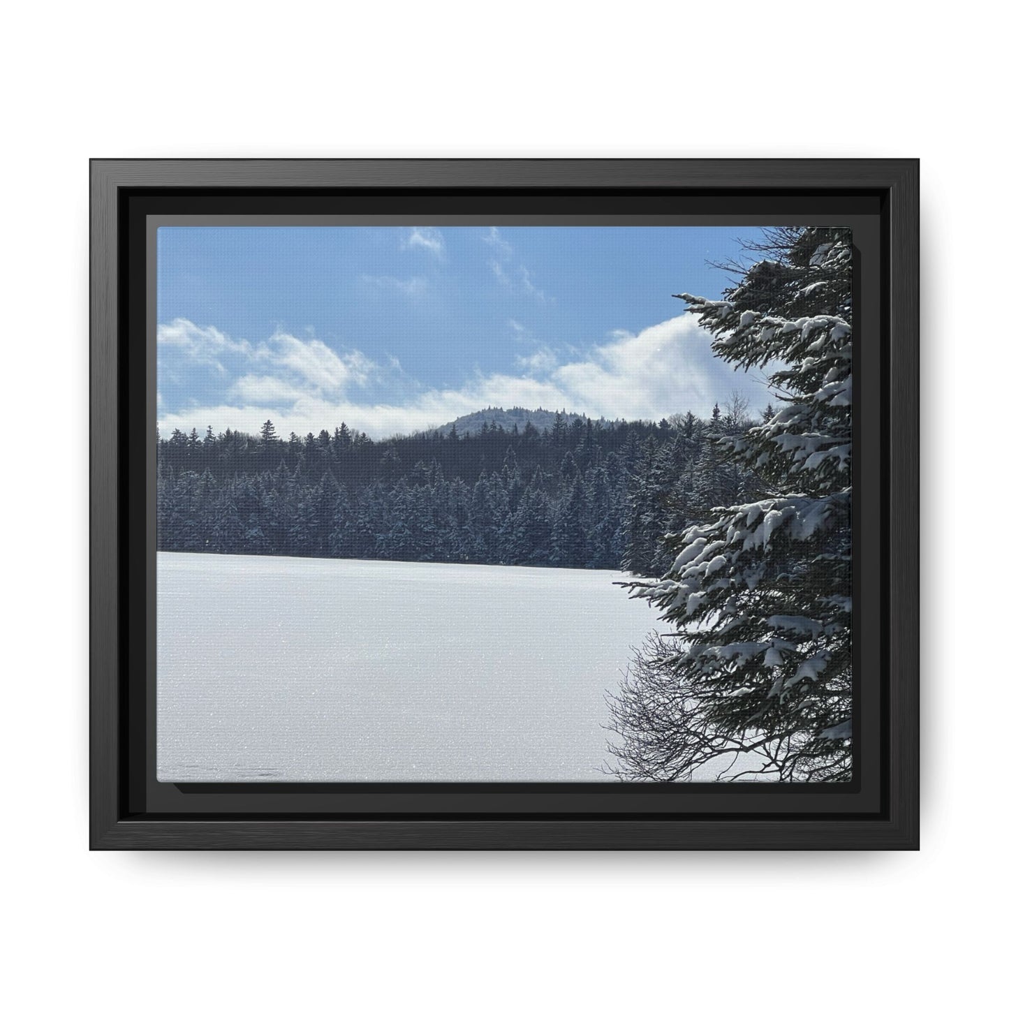 Canvas Print in Frame - Winterscape at Griffith Lake (original photograph by Kind River Studio)
