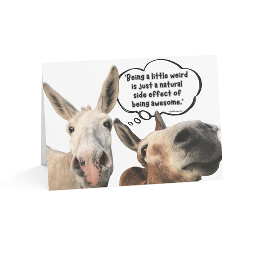 Note Card | Single - Delightful Donkeys