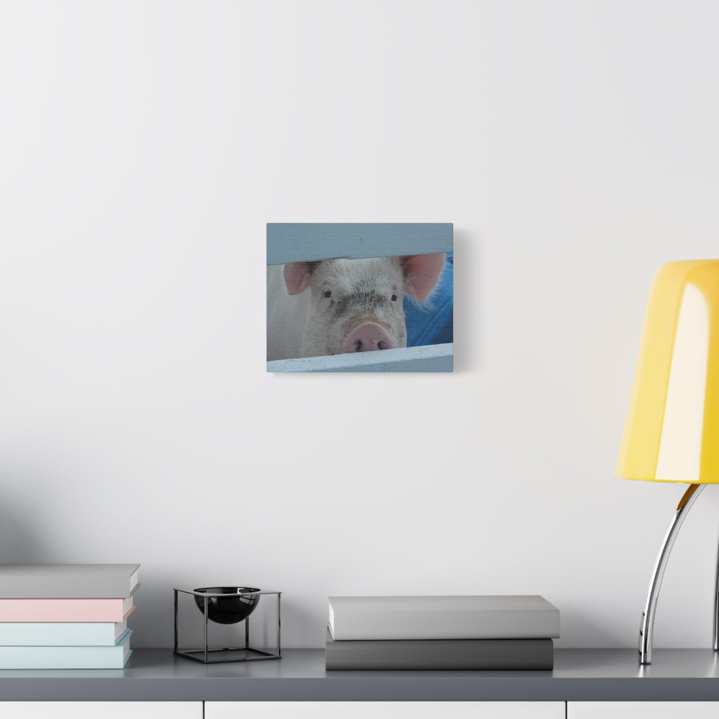 Canvas Print - Peekaboo Pig (original photograph by Kind River Studio)