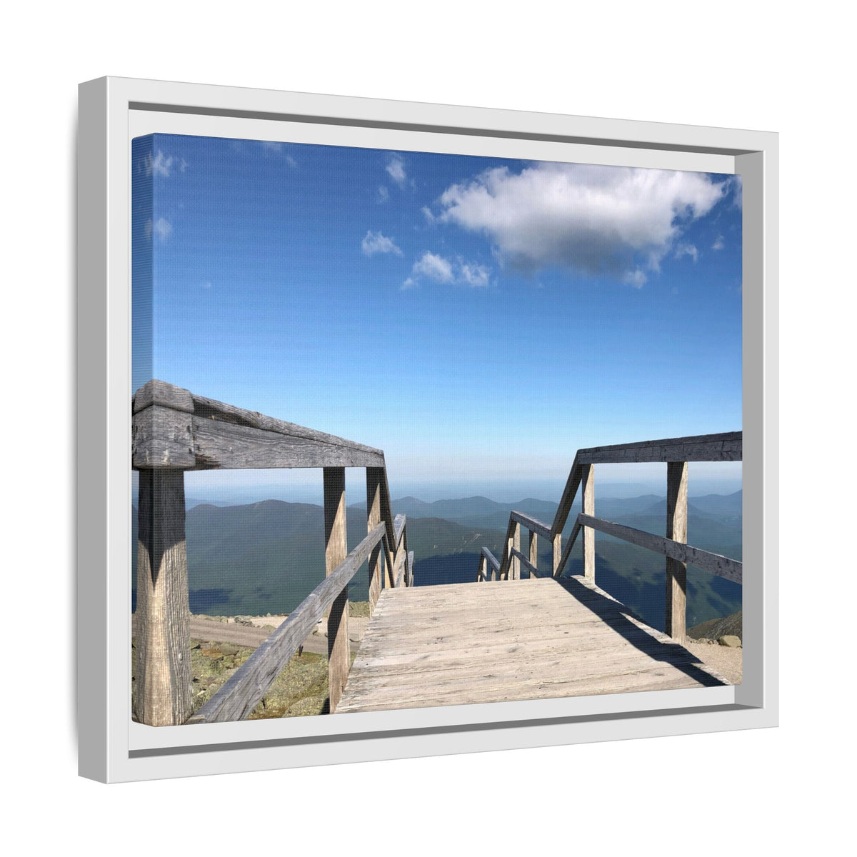 Quiet Descent Framed Matte Canvas Print