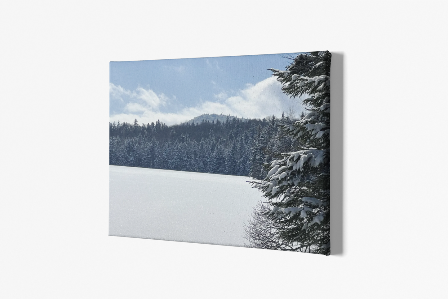 Canvas Print in Frame - Winterscape at Griffith Lake (original photograph by Kind River Studio)