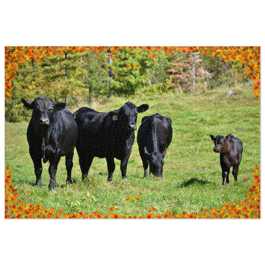 Jigsaw Puzzle (1000 pcs) - Angus Cows in Autumn
