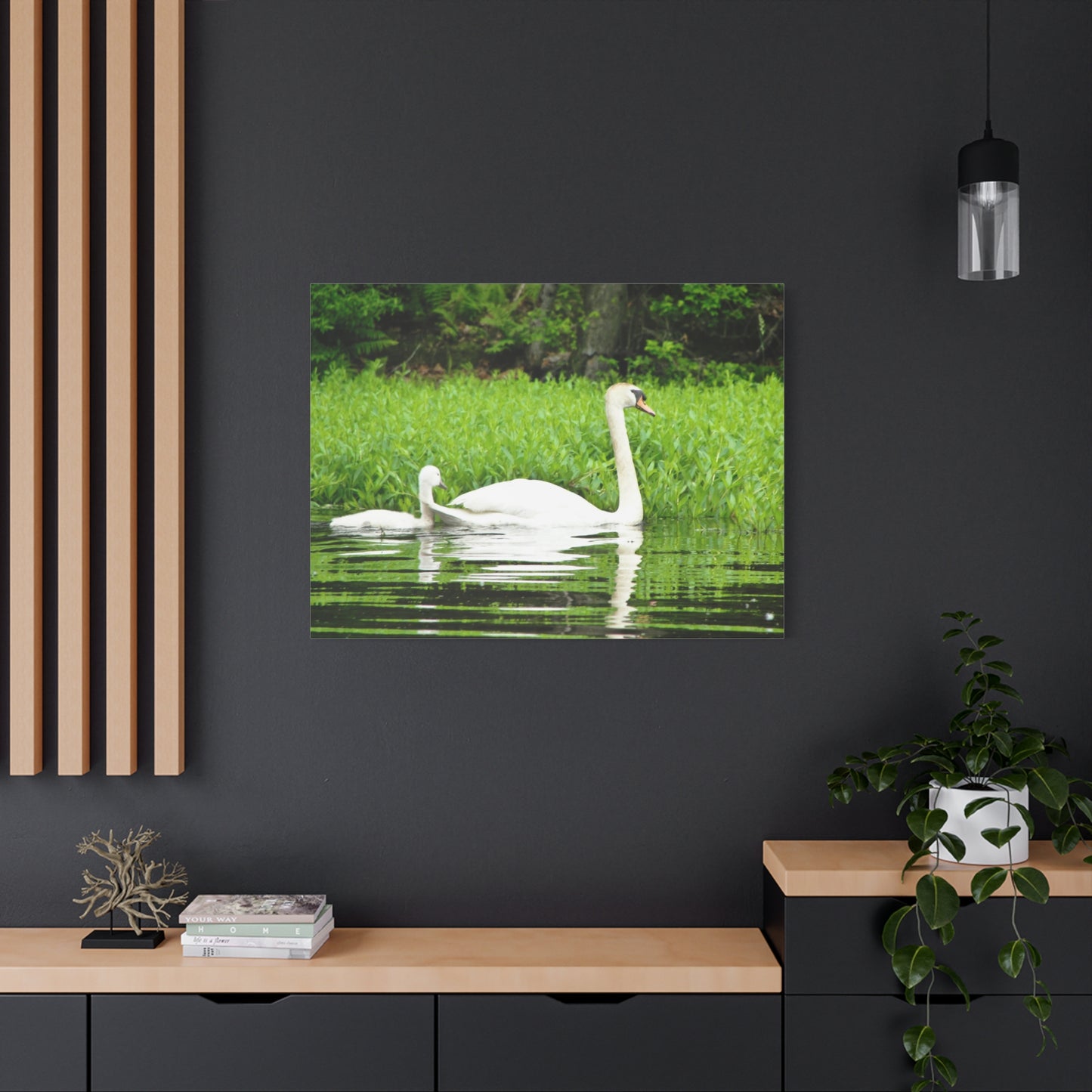 Canvas Print - White Swans (original photograph by Kind River Studio)
