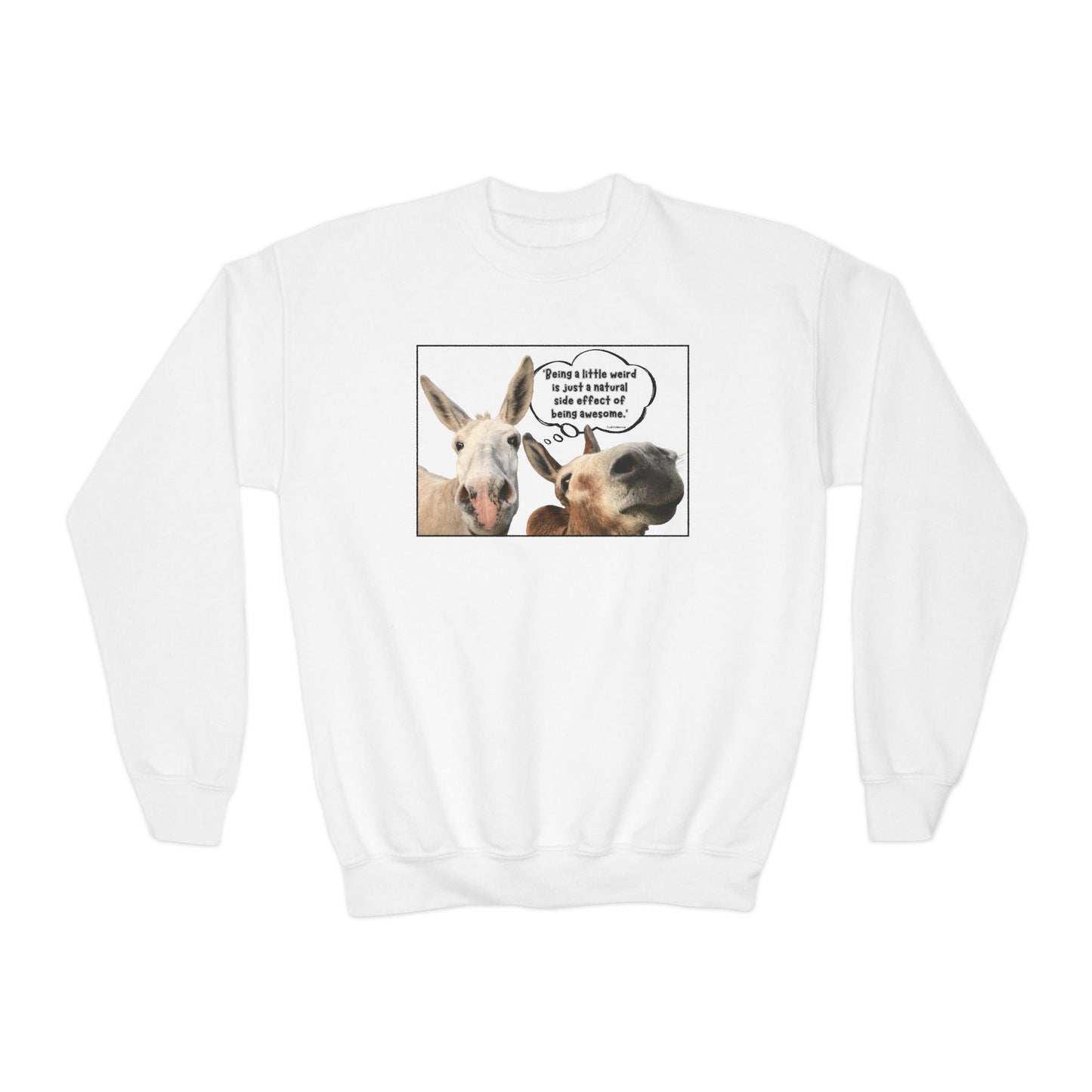 Sweatshirt - Crewneck (Youth) - Weird is Awesome