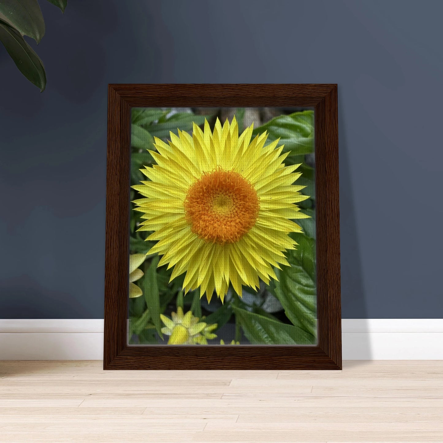 2328e7dc-67bb-44fb-8f4c-77465677d1b9