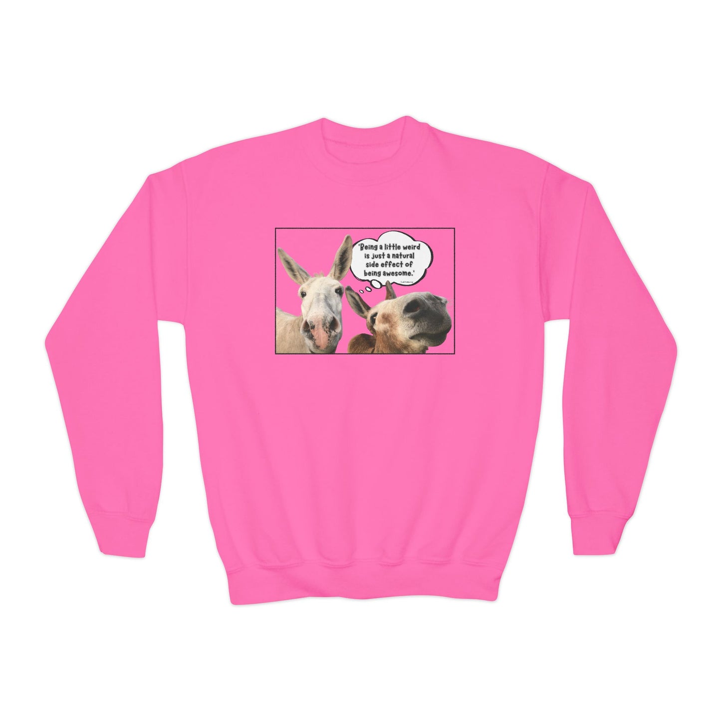 Sweatshirt - Crewneck (Youth) - Weird is Awesome