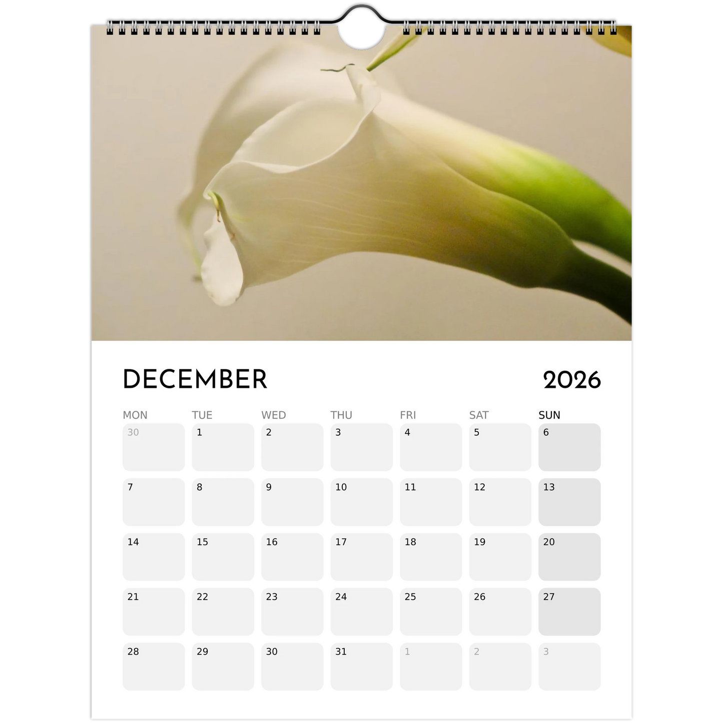 24d1c5ea-0de4-4ae1-904f-d91ca7d924d9