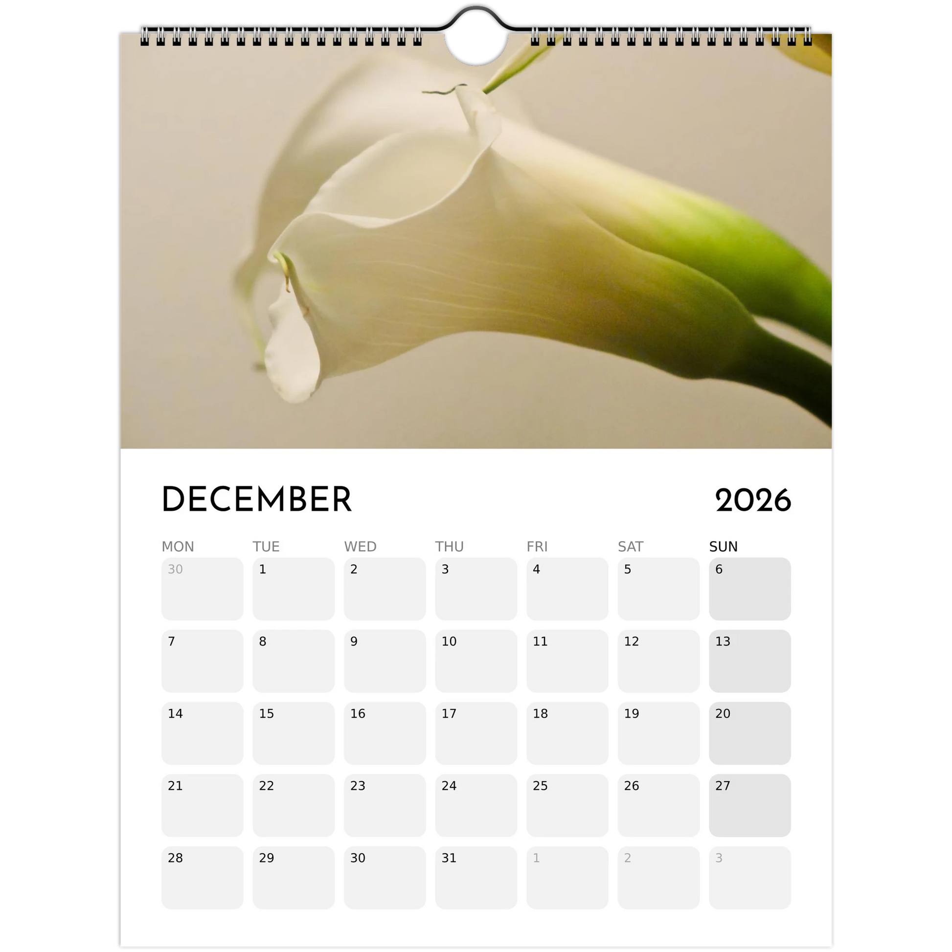 24d1c5ea-0de4-4ae1-904f-d91ca7d924d9