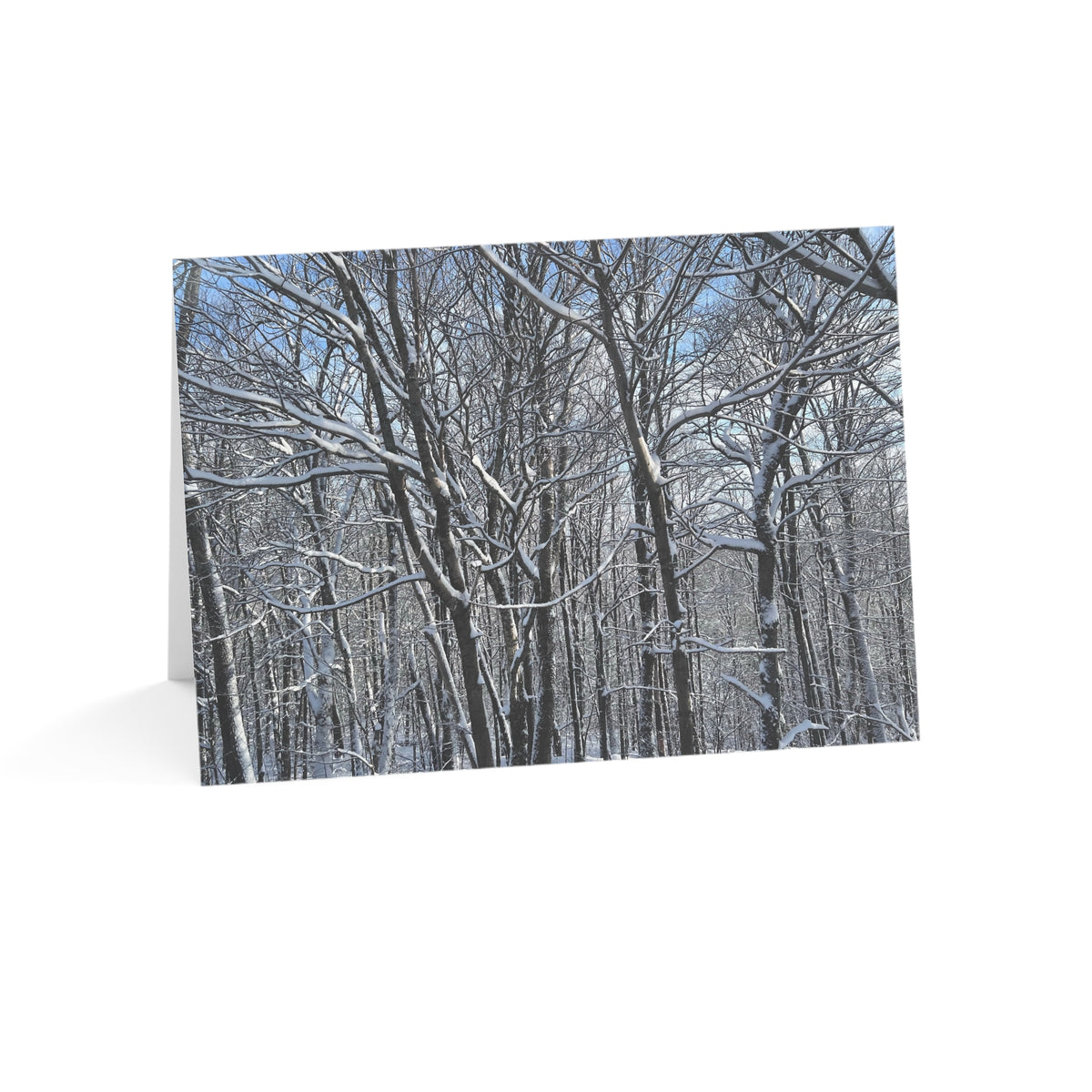 Copy of Note Cards | Set of 10 - Swans (original photograph by Kind River Studio)