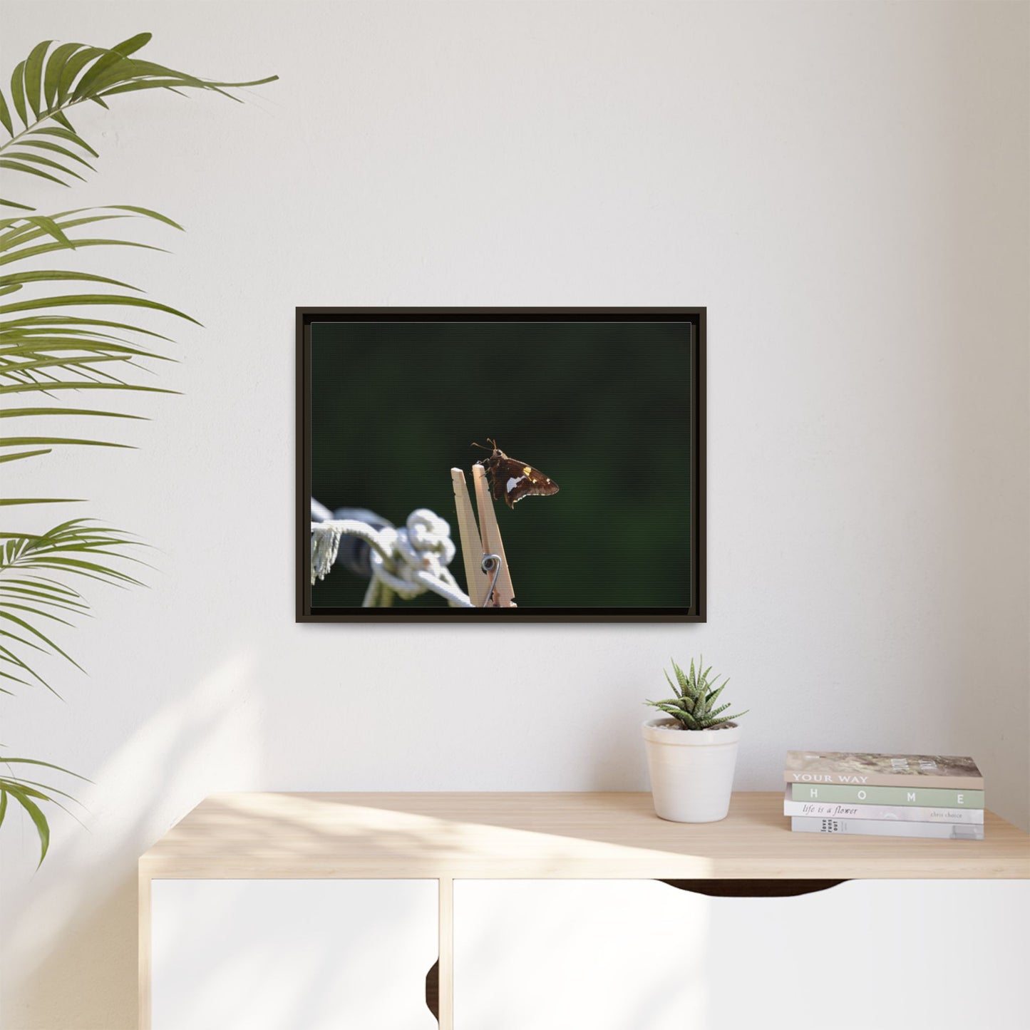 Canvas Print in Frame - Skipper on the Line (original photograph by Kind River Studio)