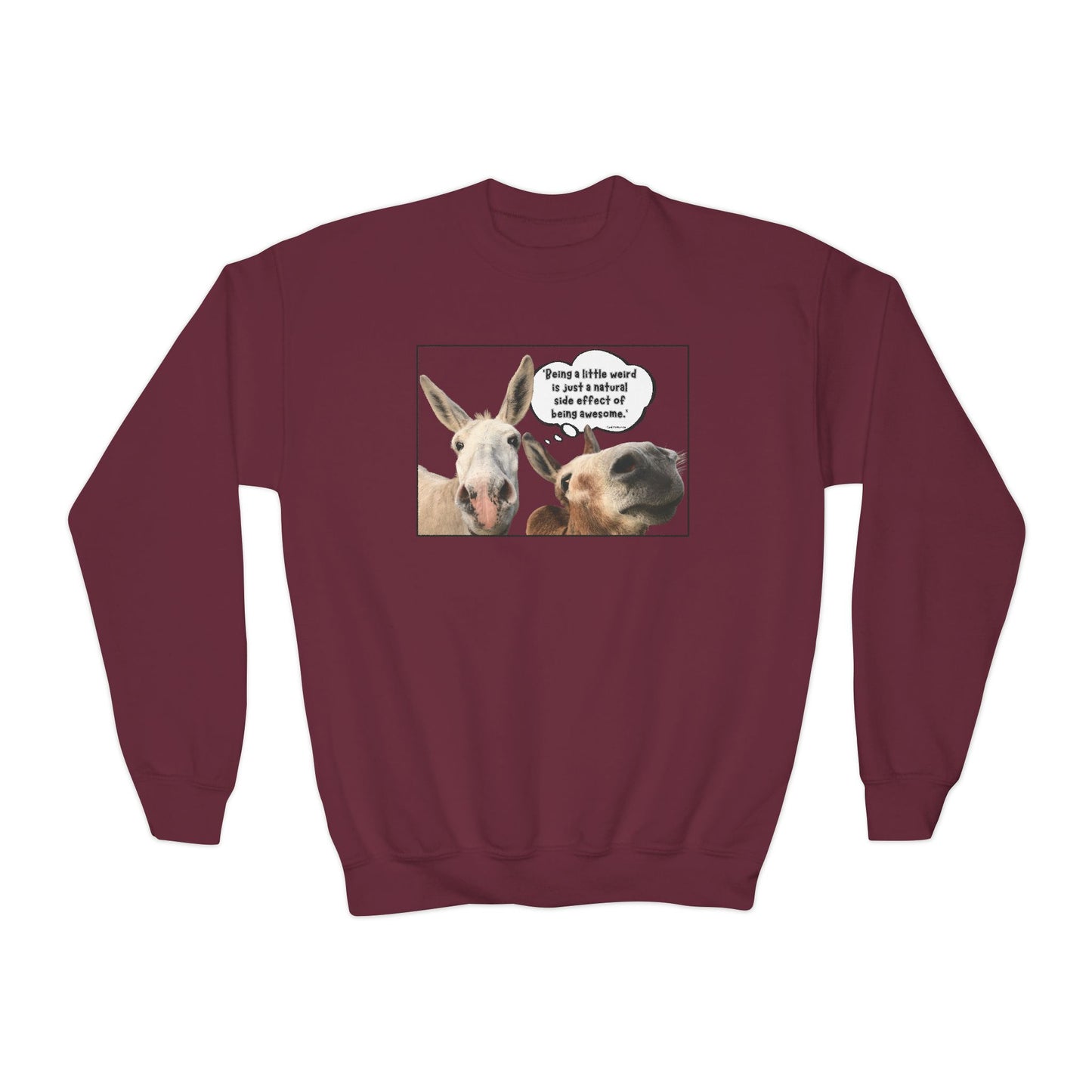 Sweatshirt - Crewneck (Youth) - Weird is Awesome