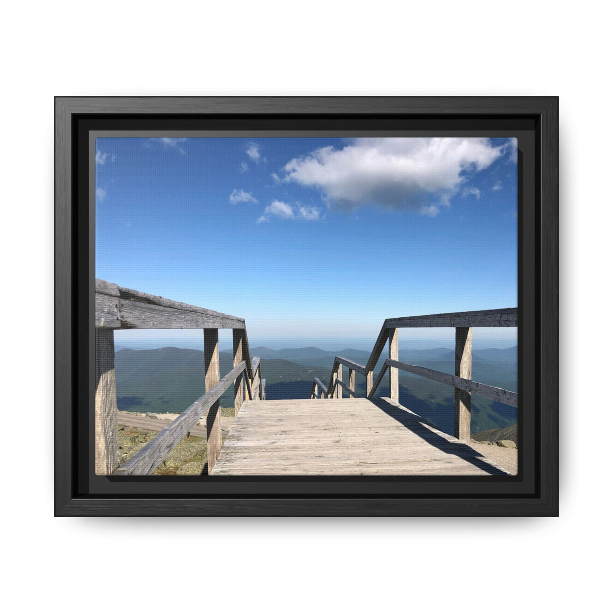 Quiet Descent Framed Matte Canvas Print