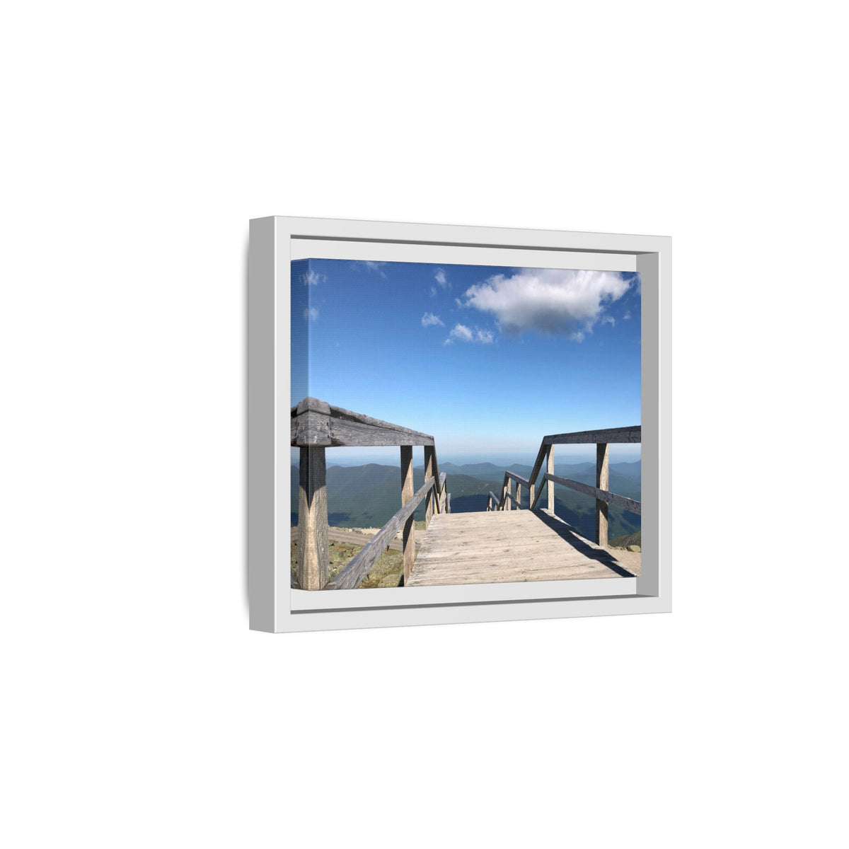 Quiet Descent Framed Matte Canvas Print