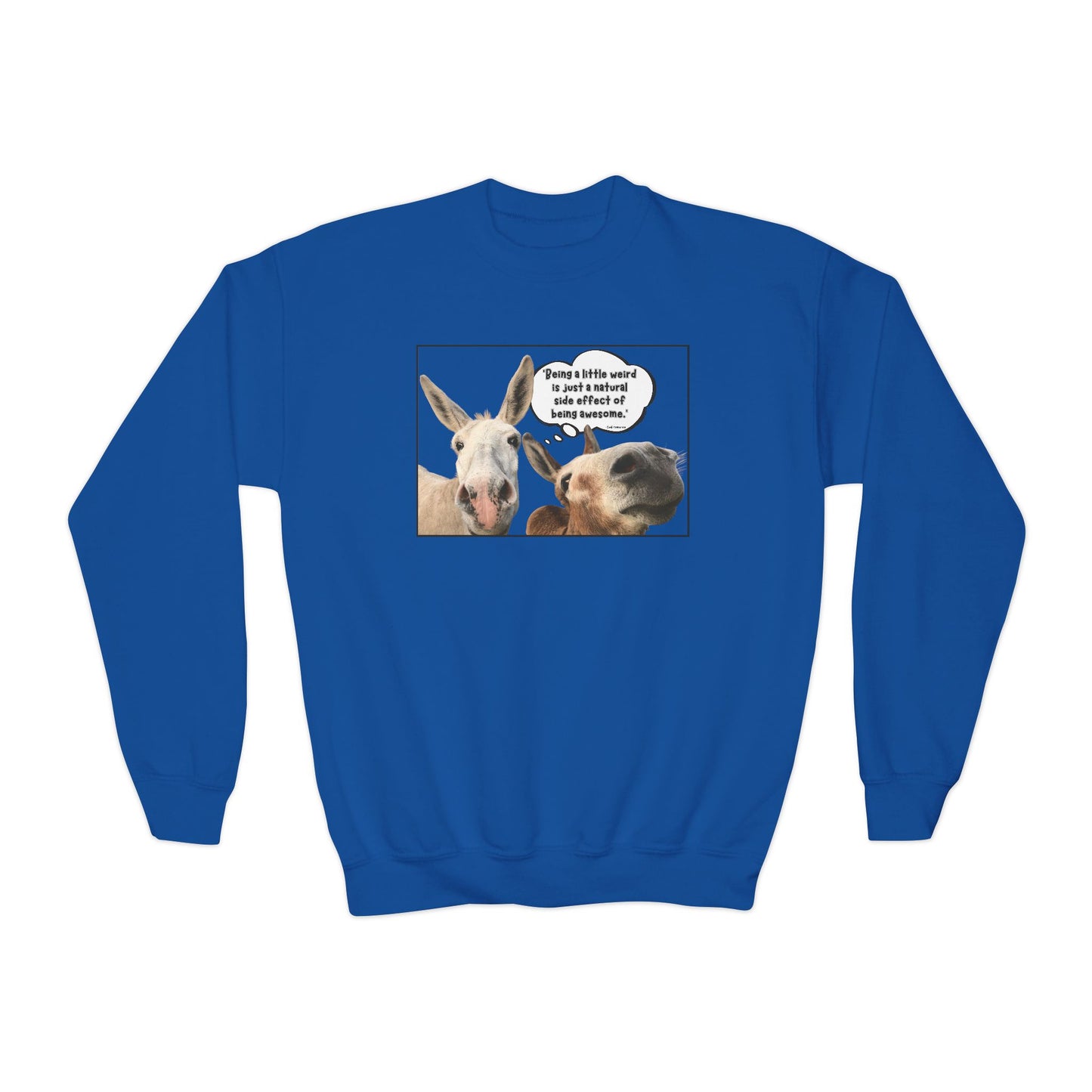 Sweatshirt - Crewneck (Youth) - Weird is Awesome