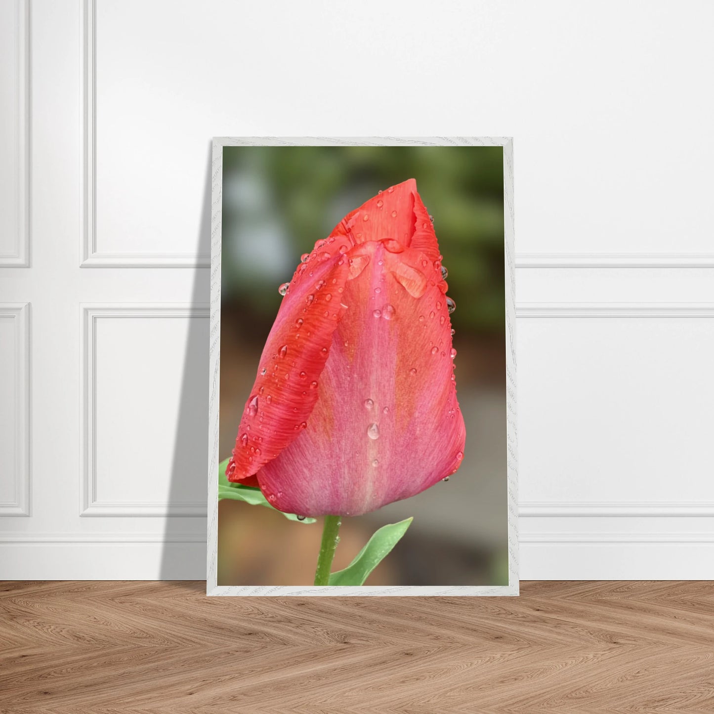 2b462044-a3dd-4b5b-8b05-a23fdee57dce