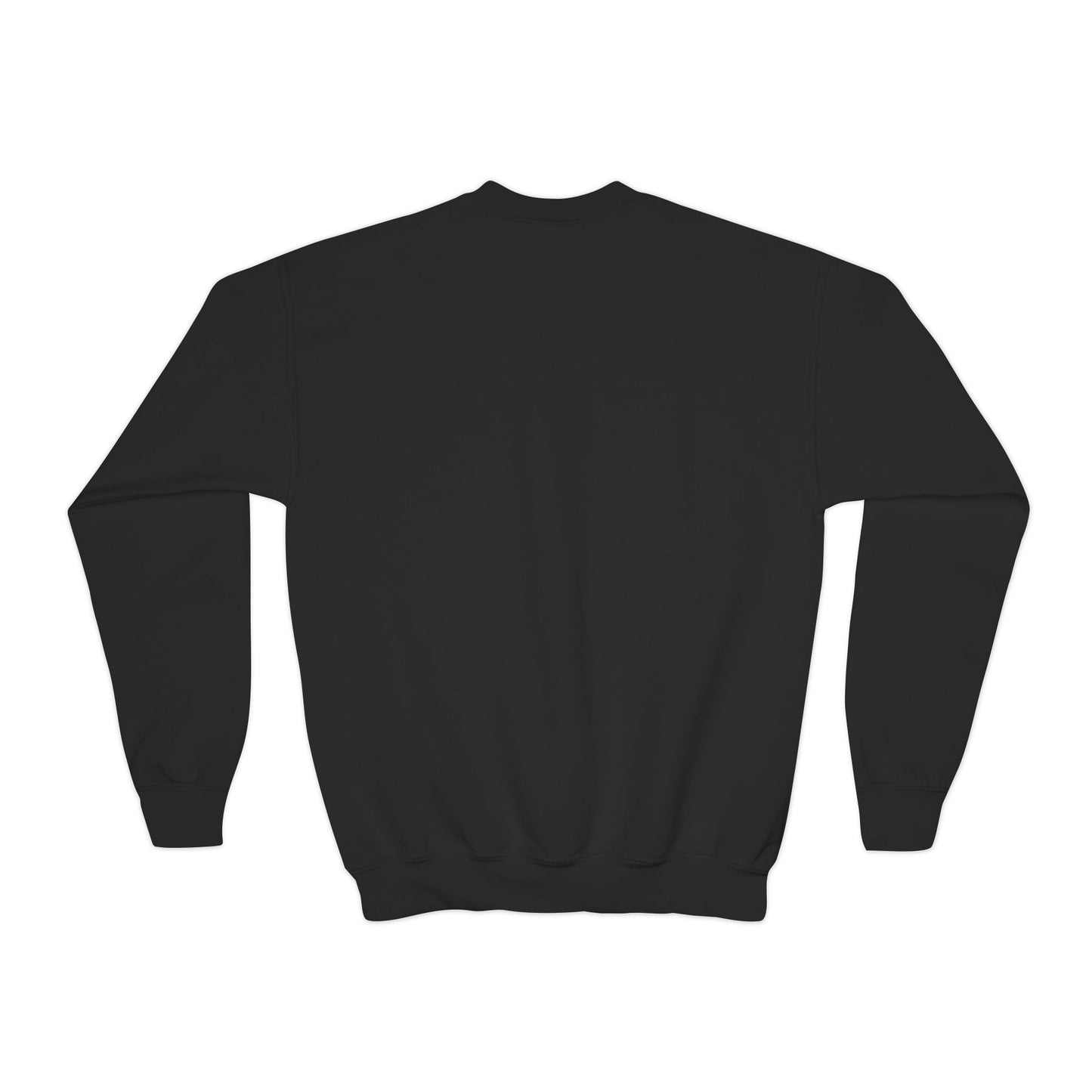 Crewneck Sweatshirt (Youth) - Practice to Progress