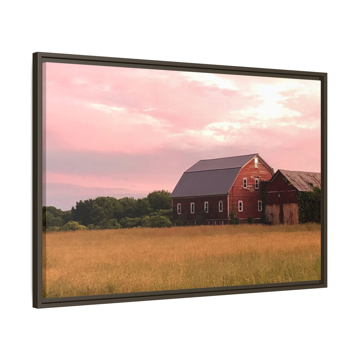 Weathered Barn at Dusk Canvas Framed Print