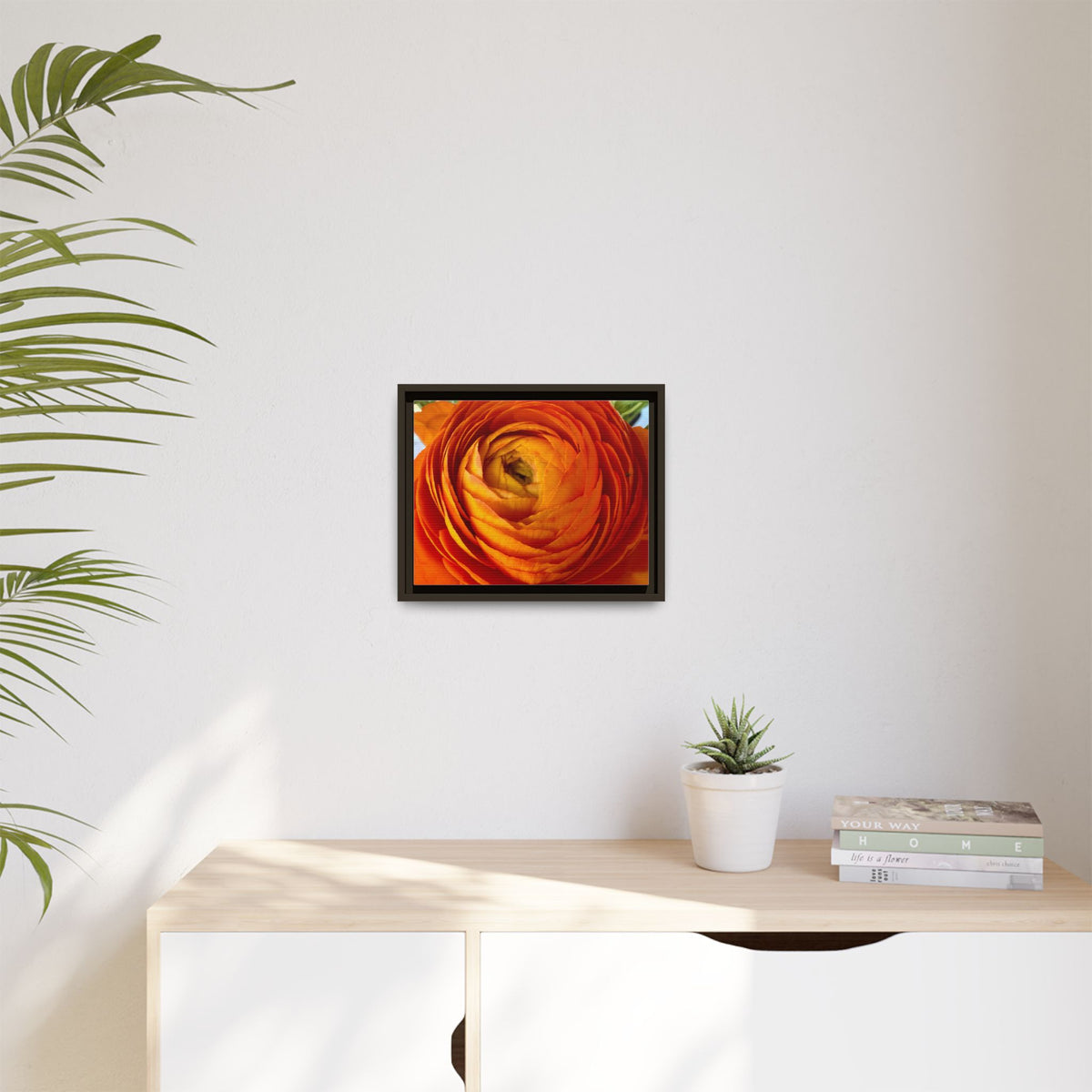 Orange Ranunculus Canvas Framed Print (original photograph by Kind River Studio)
