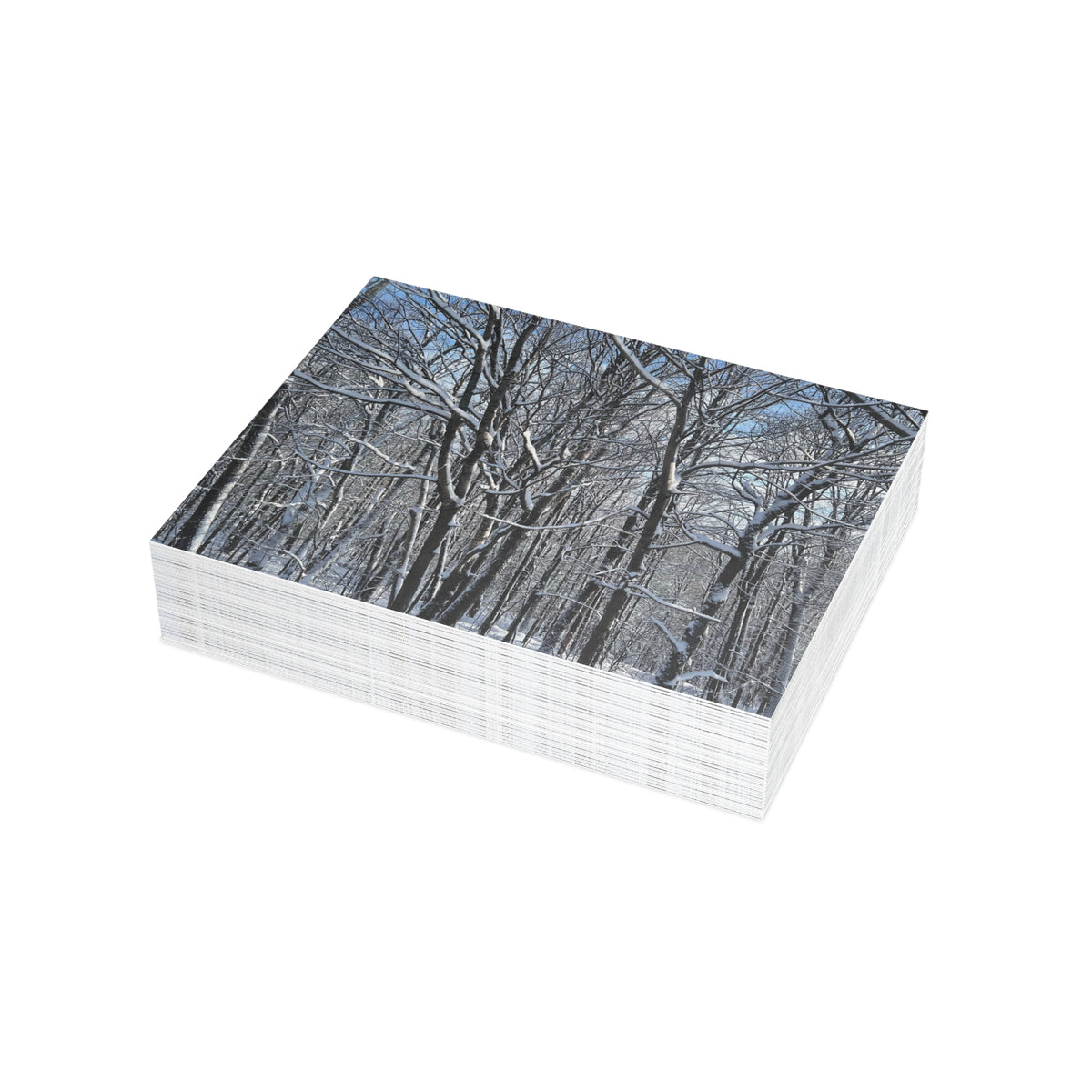 Copy of Note Cards | Set of 10 - Swans (original photograph by Kind River Studio)