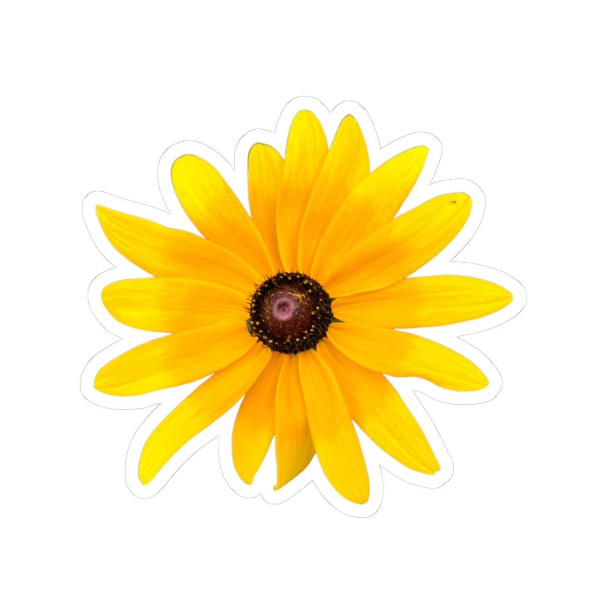 Sticker - Gloriosa Daisy