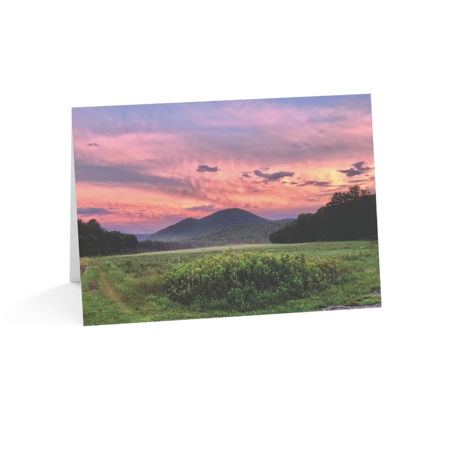 Note Cards | Set of 10 - Field at Dusk (original photograph by Kind River Studio)